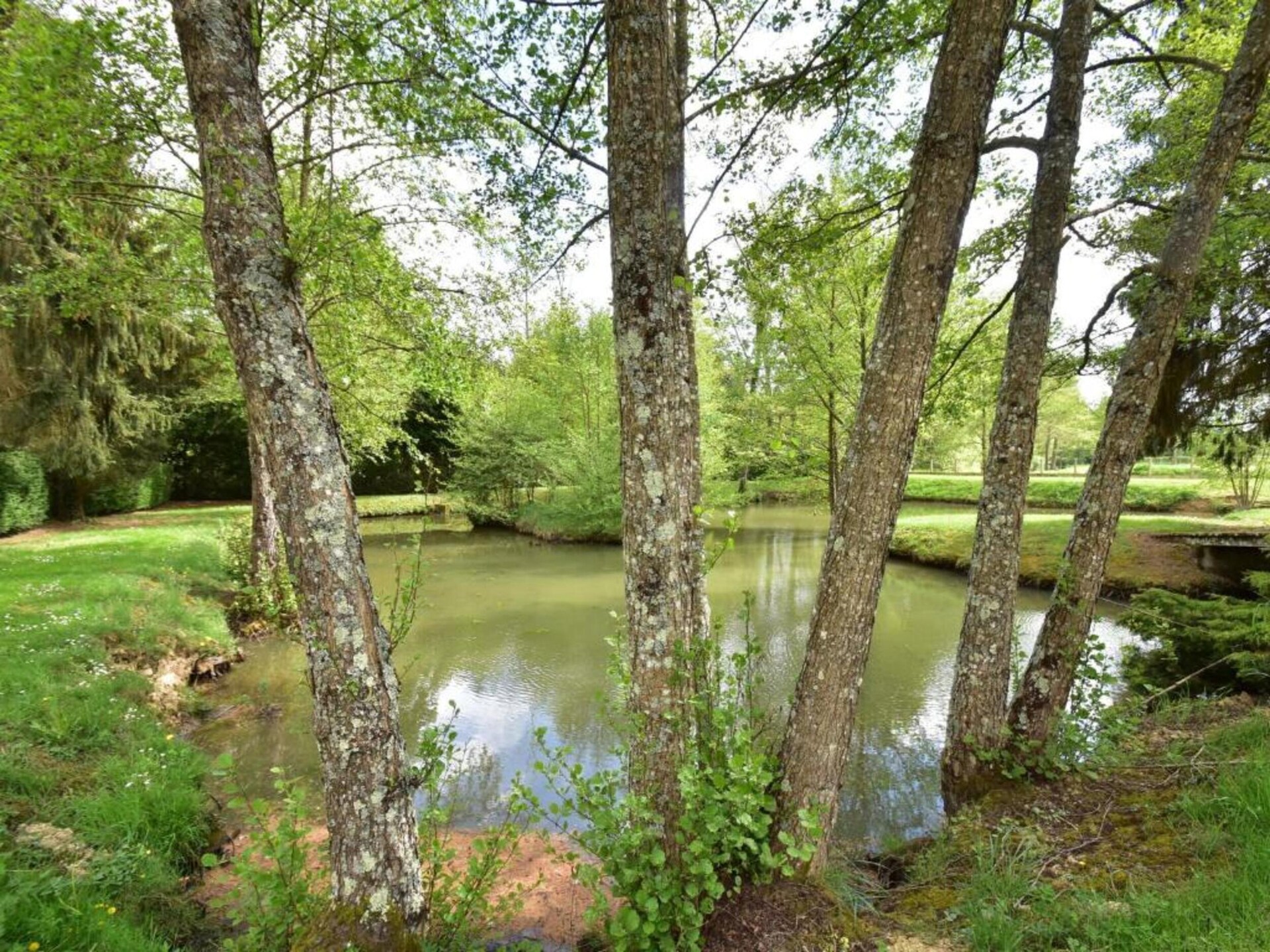 Vrijstaand huis aan de golfbaan in Faverolles-en-Berry voor 6 personen - foto 26