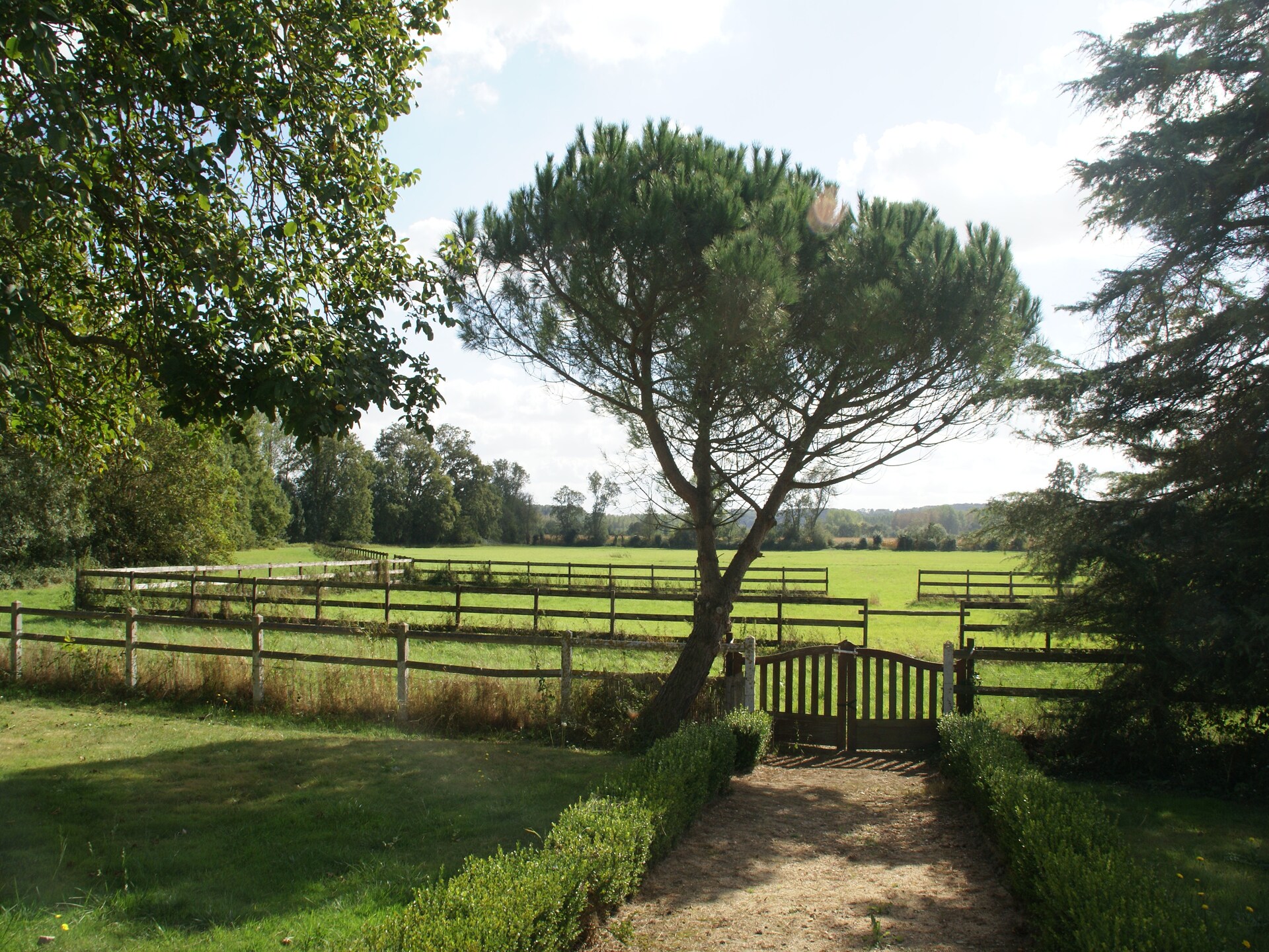 Rustiek vakantiehuis aan de Vienne bij Chinon met omheinde tuin - foto 23