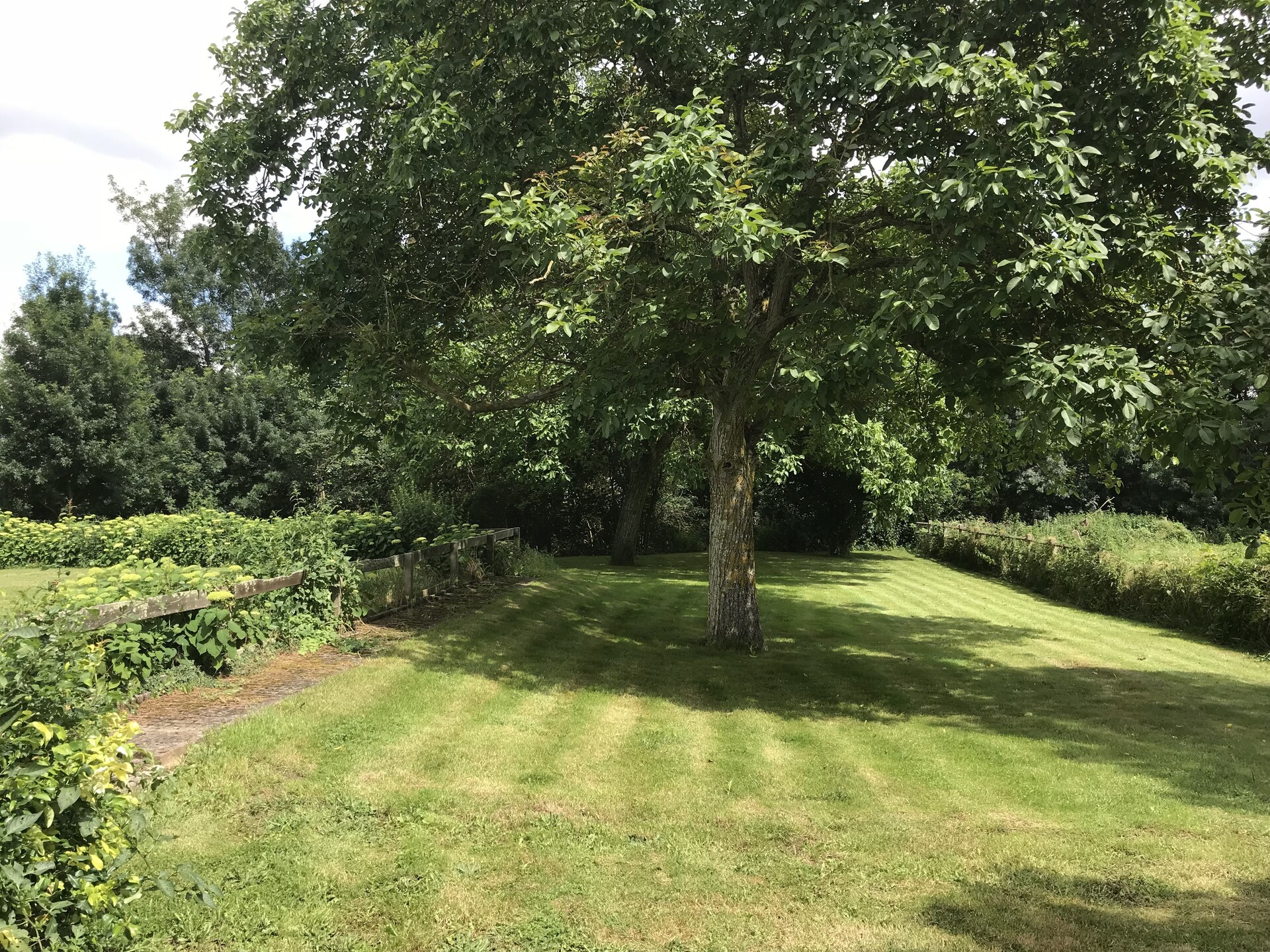 Rustiek vakantiehuis aan de Vienne bij Chinon met omheinde tuin - foto 36