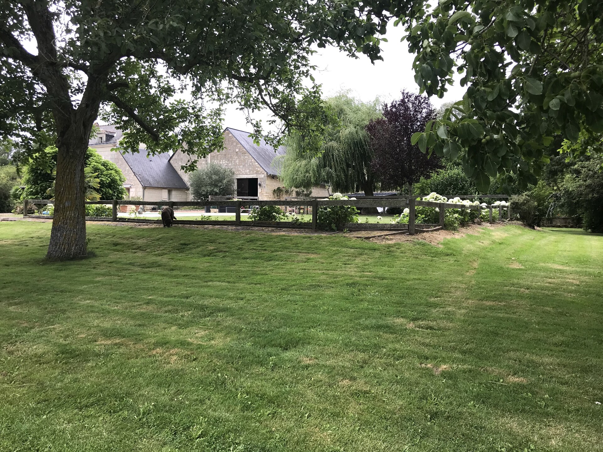 Rustiek vakantiehuis aan de Vienne bij Chinon met omheinde tuin - foto 33