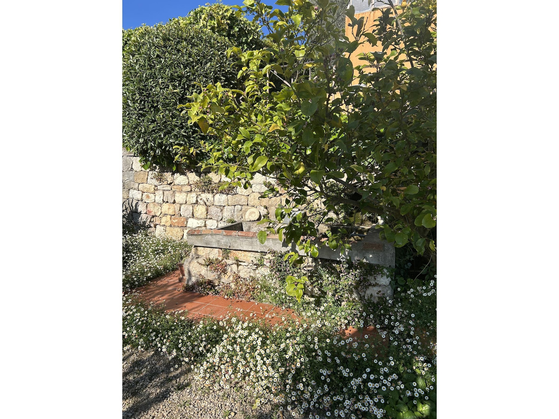Villa met privézwembad in Grasse: authentieke 18e-eeuwse charme - foto 25