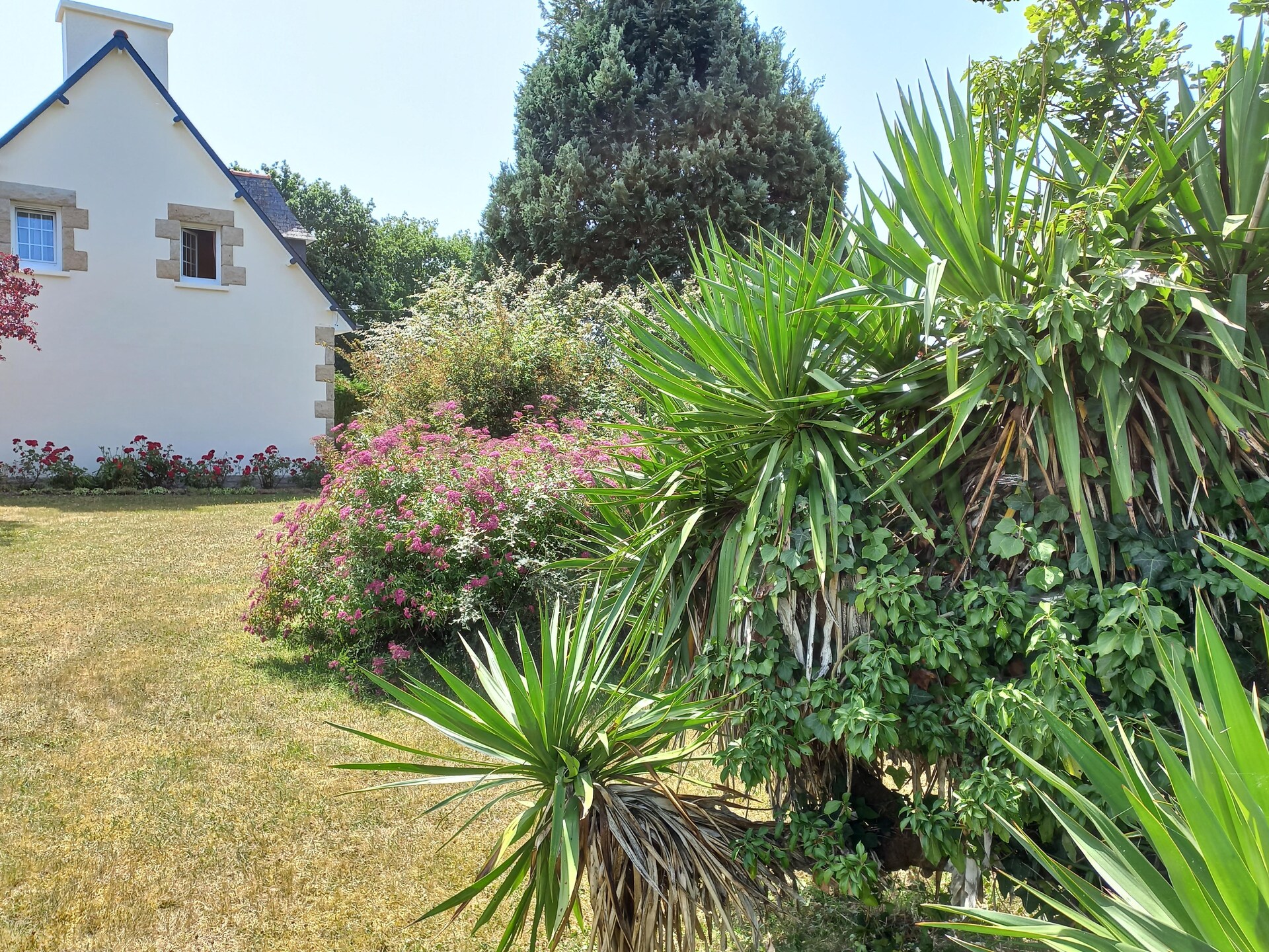 Ruim vakantiehuis met 4 slaapkamers nabij de stranden van Sables-d'Or-les-Pins - foto 34