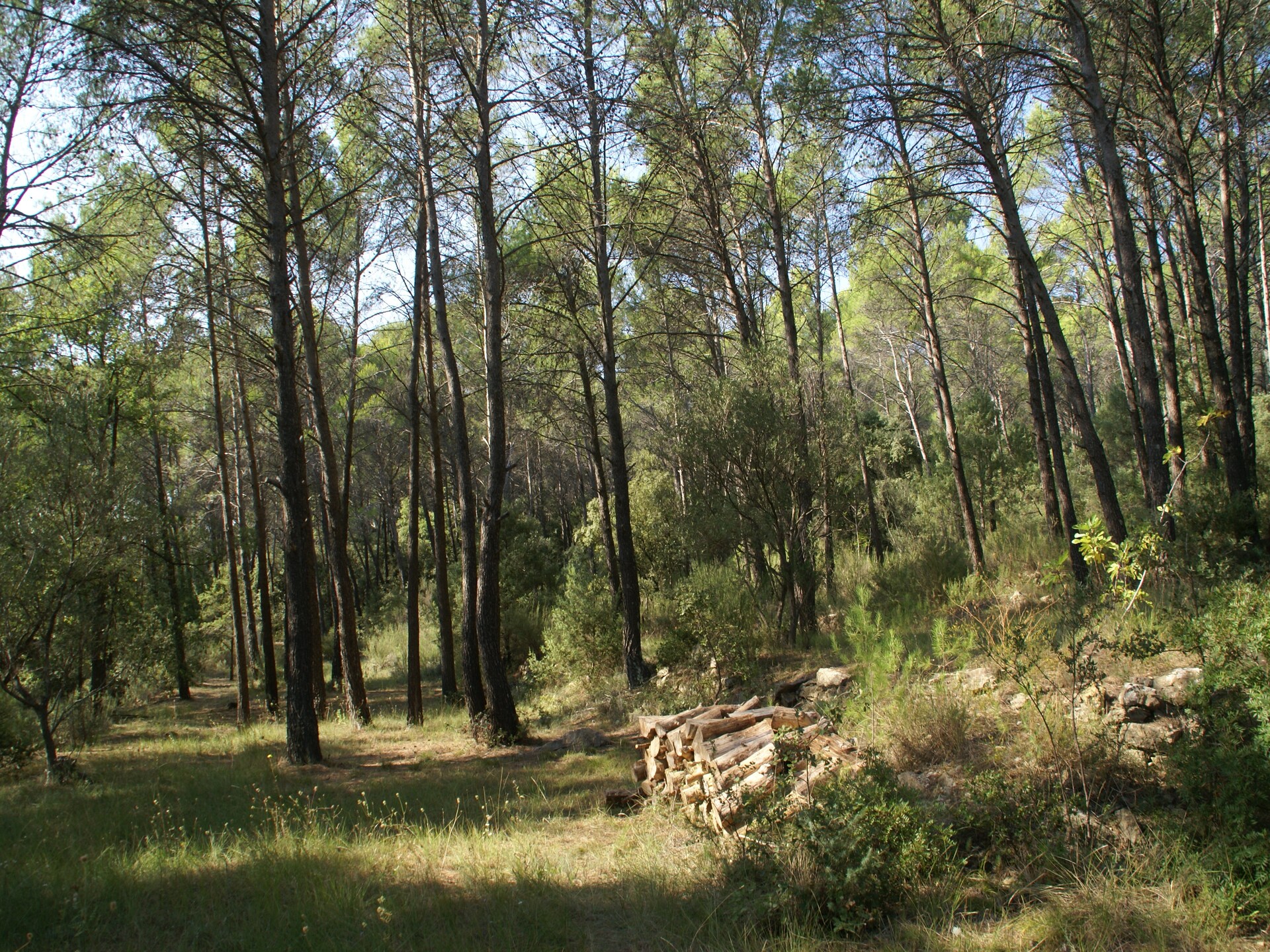 Vrijstaand vakantiehuis met zwembad aan golfbaan in hartje Provence - foto 22
