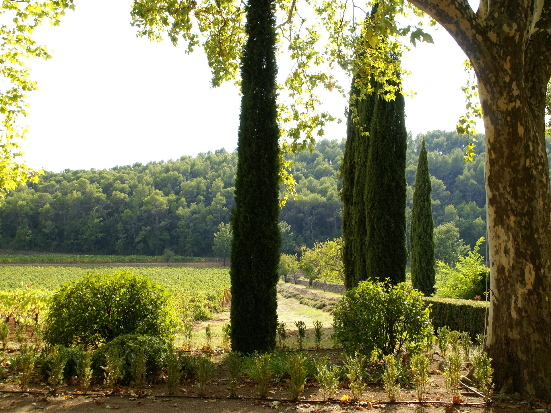 Vrijstaand vakantiehuis met zwembad aan golfbaan in hartje Provence - foto 24