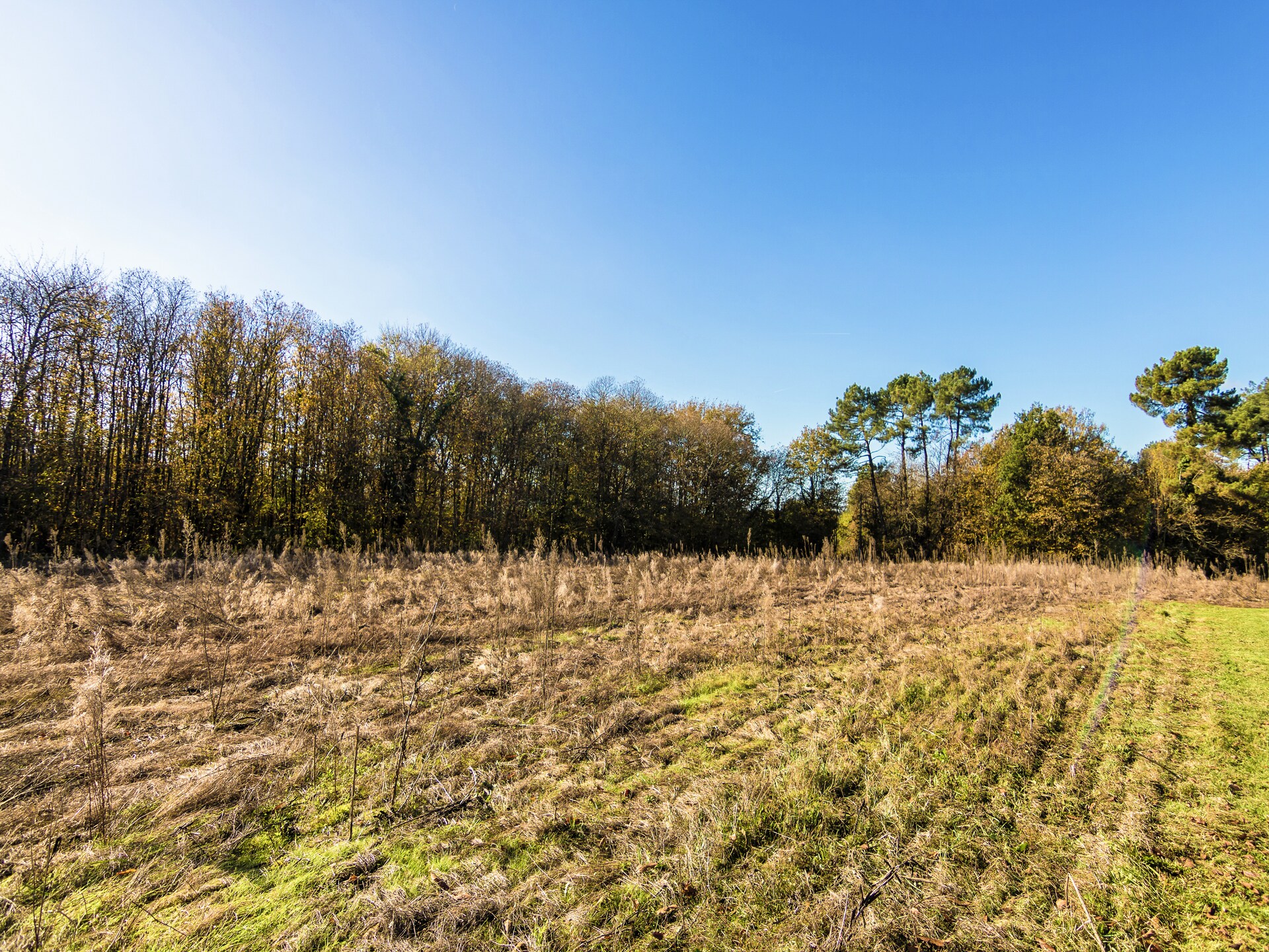 Vrijstaand vakantiehuis voor 7 personen aan de rand van het bos bij Cendrieux - foto 19