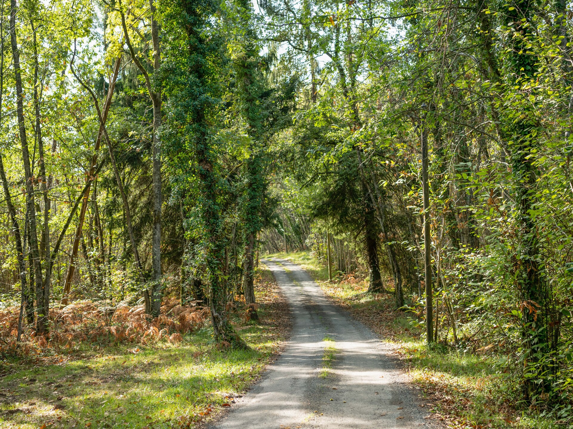 Vrijstaand vakantiehuis voor 7 personen aan de rand van het bos bij Cendrieux - foto 21