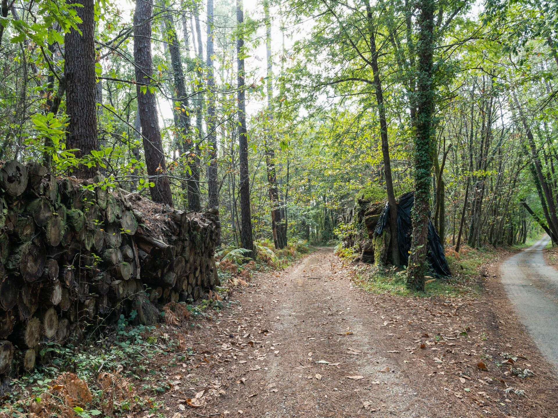 Vrijstaand vakantiehuis voor 7 personen aan de rand van het bos bij Cendrieux - foto 24