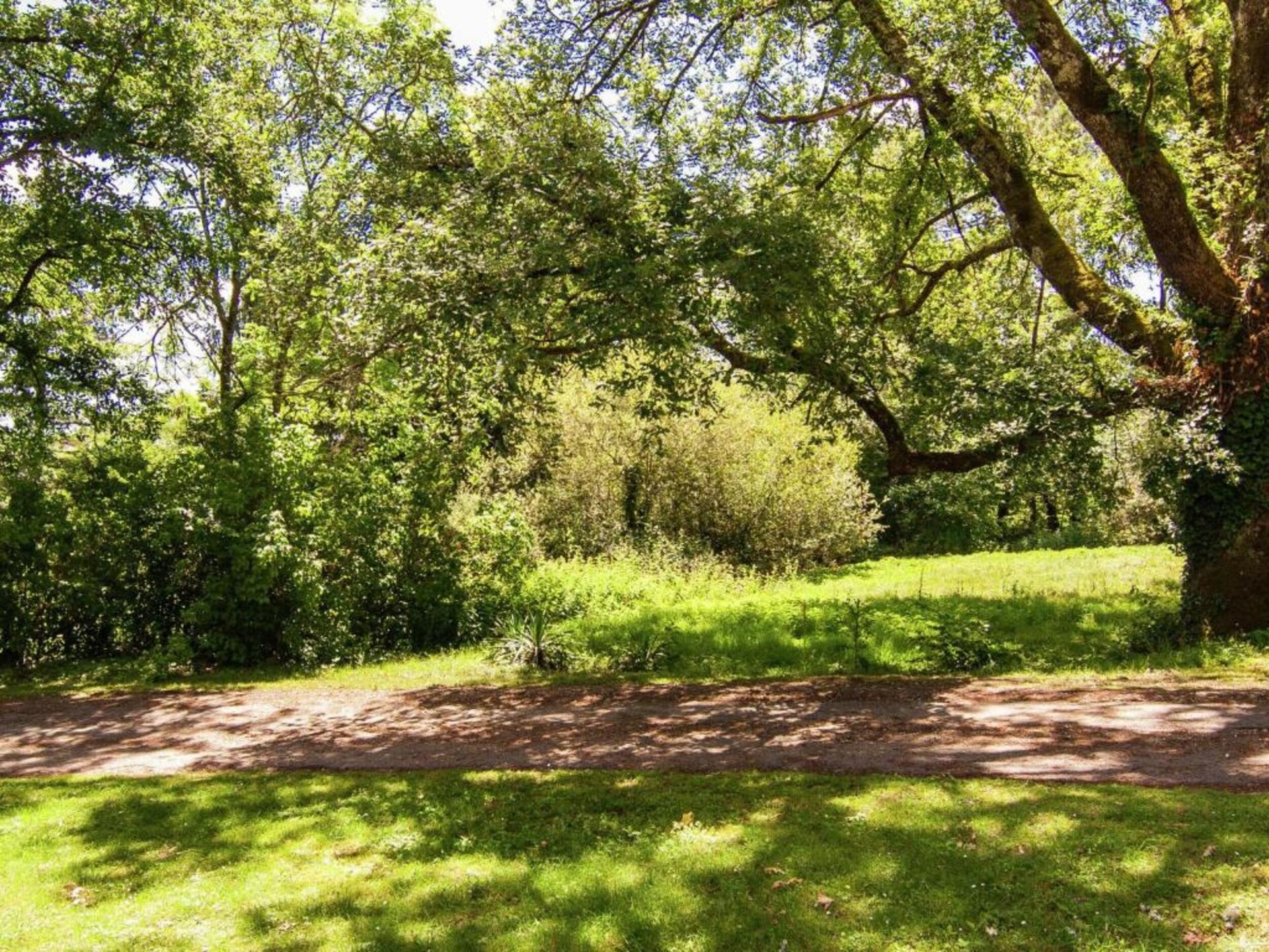 Vrijstaand vakantiehuis voor 7 personen aan de rand van het bos bij Cendrieux - foto 37