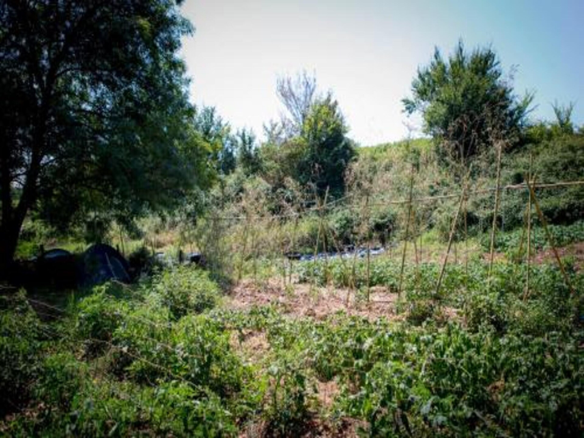 Vrijstaand vakantiehuis voor 7 personen aan de rand van het bos bij Cendrieux - foto 31