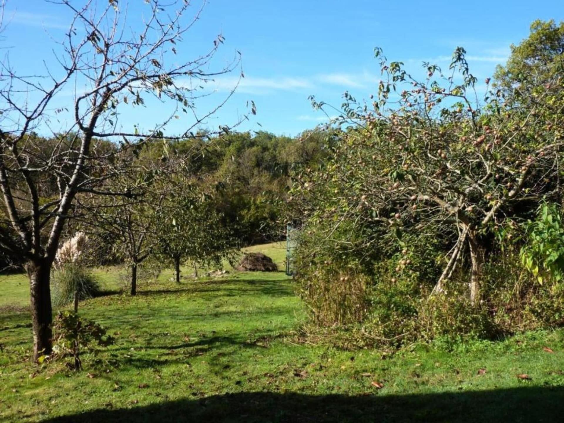 Ruim vakantiehuis aan de golfbaan bij Gavray-sur-Sienne met omheinde tuin - foto 40