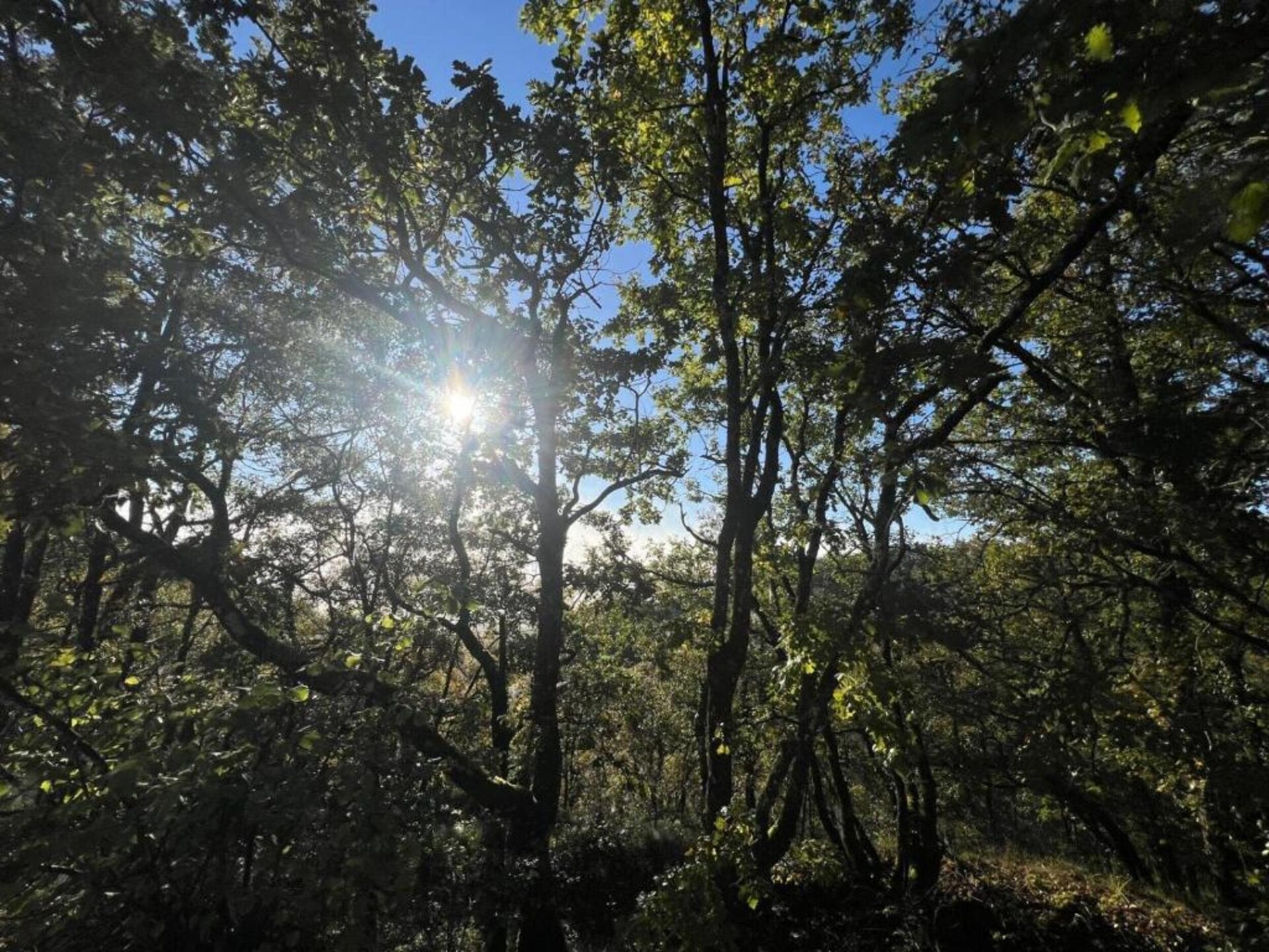 Vrijstaand huis met privézwembad op het Franse platteland bij Montaigu-de-Quercy - foto 26
