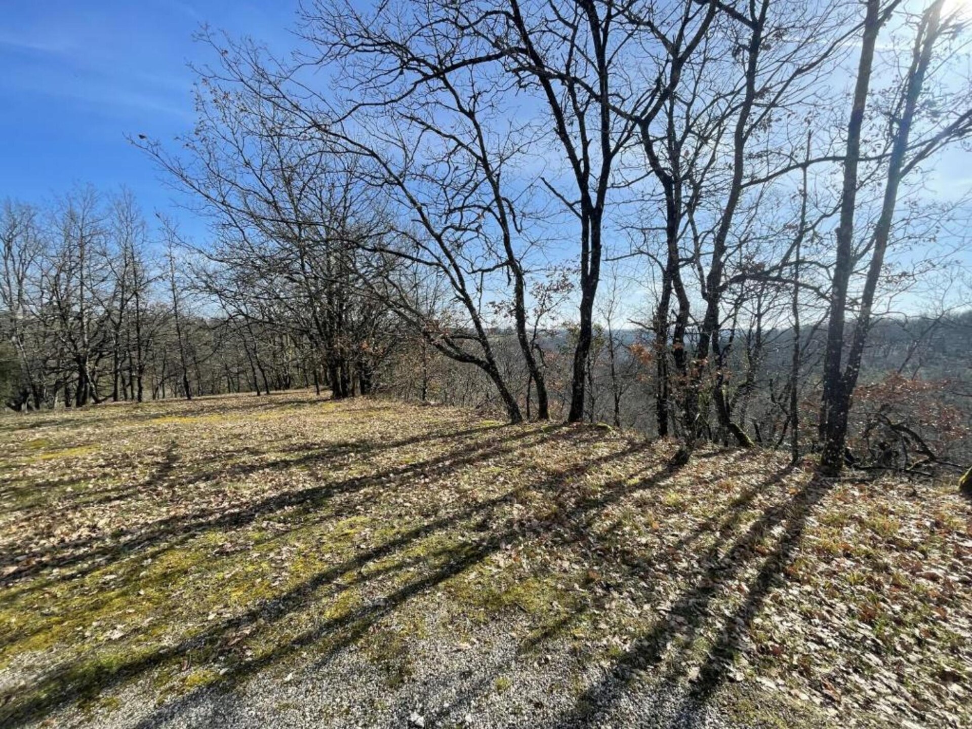 Vrijstaand huis met privézwembad op het Franse platteland bij Montaigu-de-Quercy - foto 20
