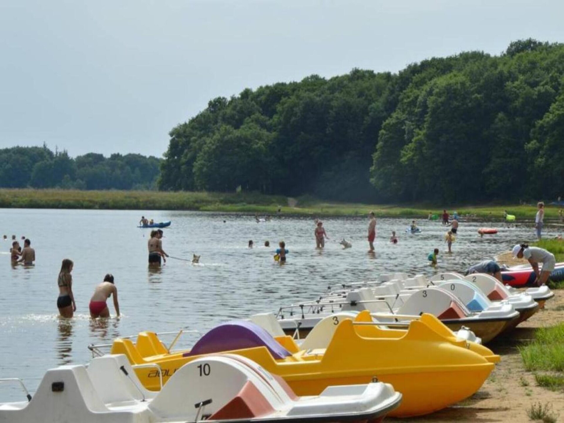 Stijlvol vakantiehuis voor 8 personen aan de golfbaan in Diges - foto 34