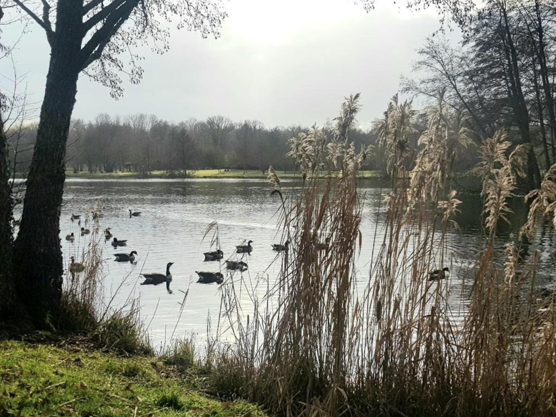 Stijlvol vakantiehuis voor 8 personen aan de golfbaan in Diges - foto 37