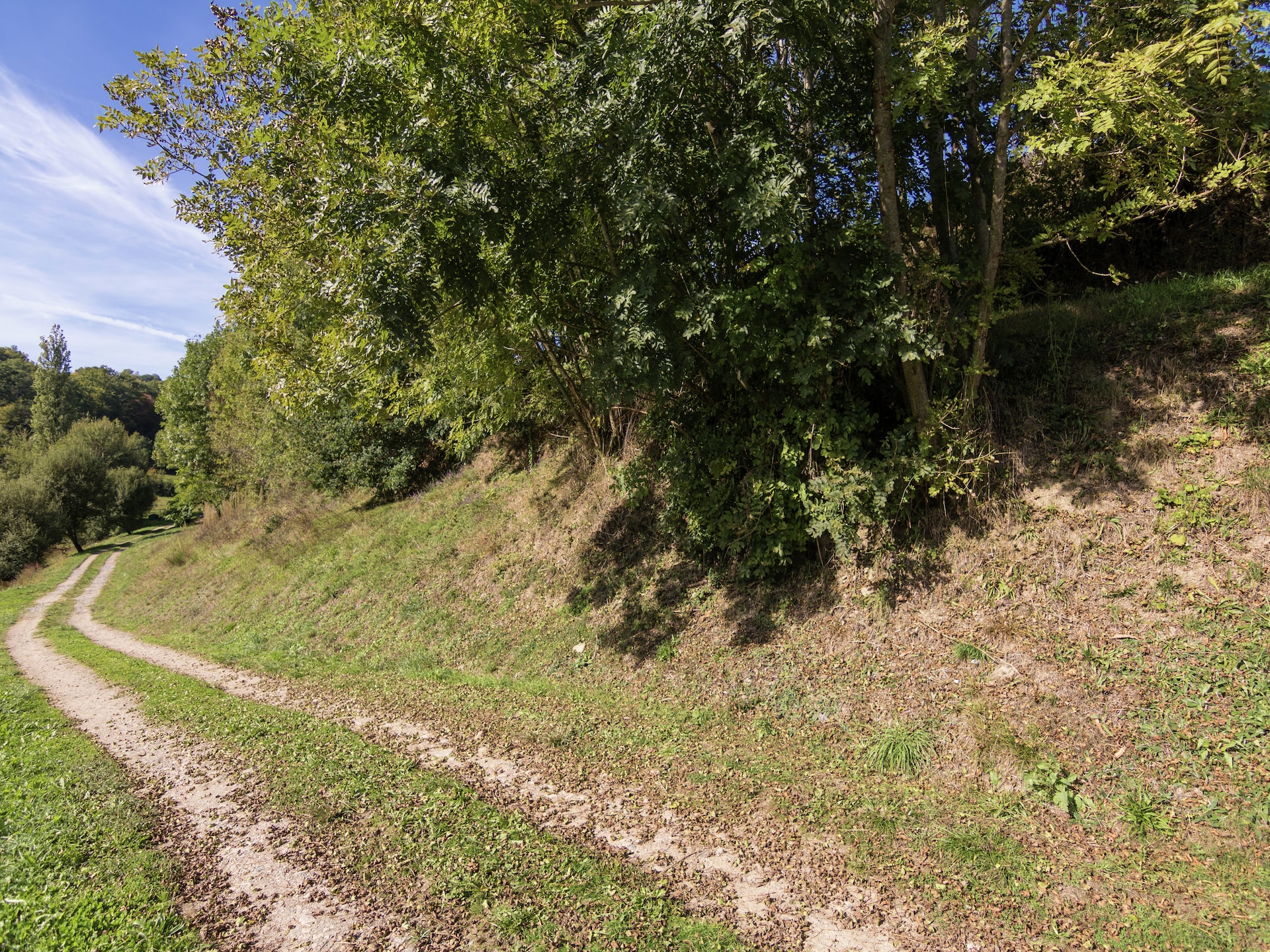 Ruime villa met privézwembad en jeu de boulesbaan in Sérilhac - foto 24