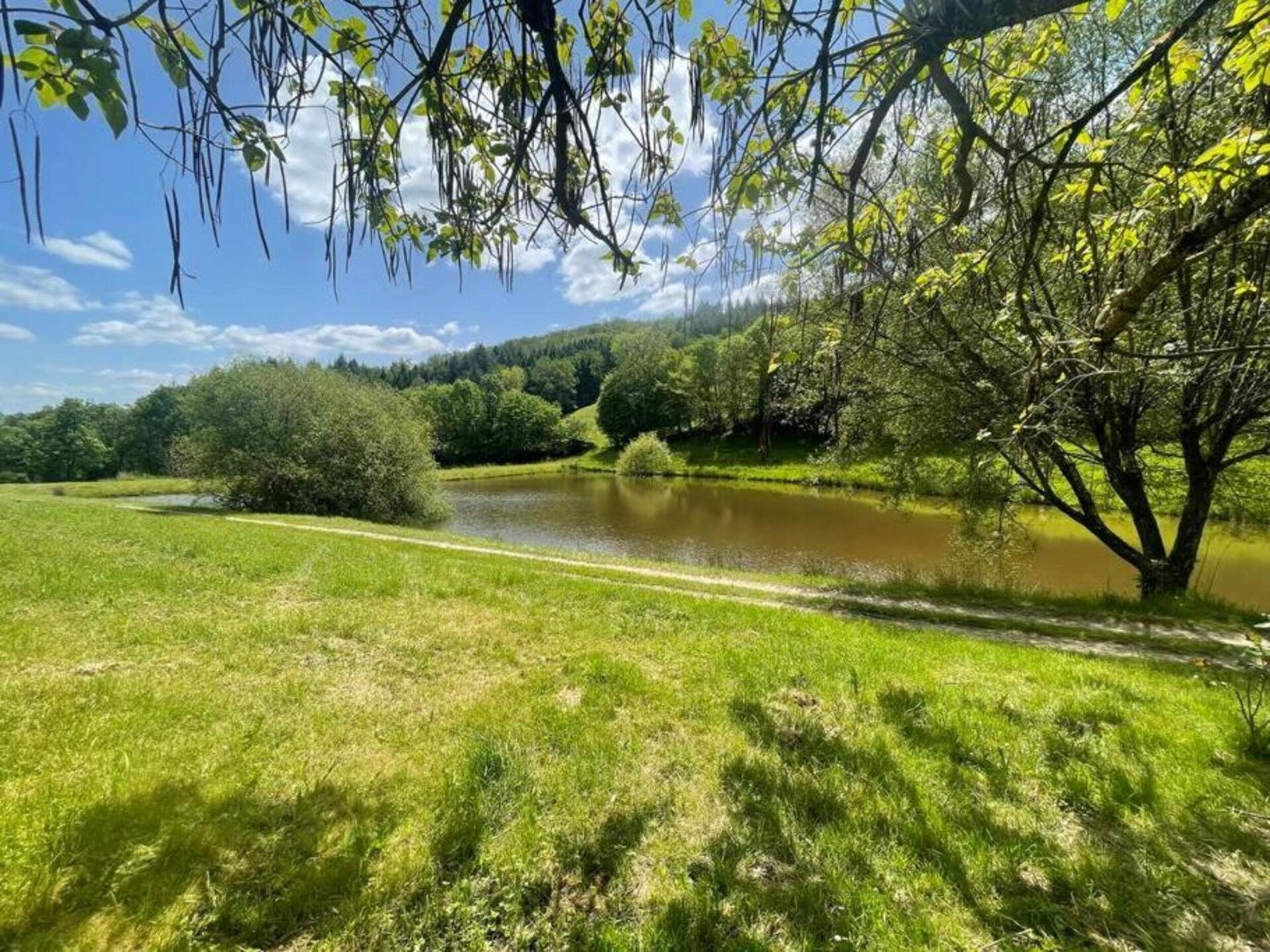 Ruime villa met privézwembad en jeu de boulesbaan in Sérilhac - foto 25