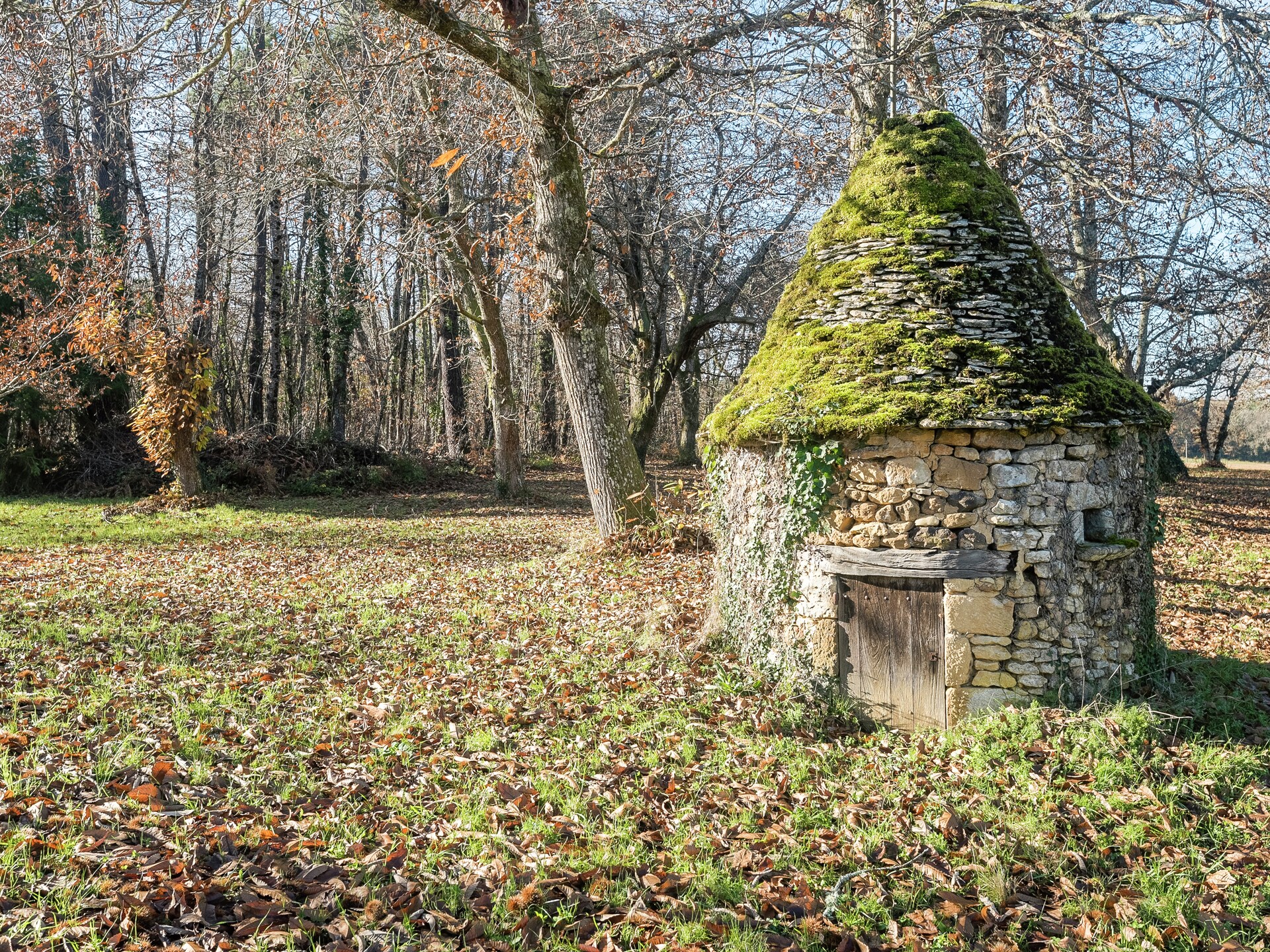 Gezellig vrijstaand huis bij Villefranche-du-Périgord met tuin en bbq - foto 29