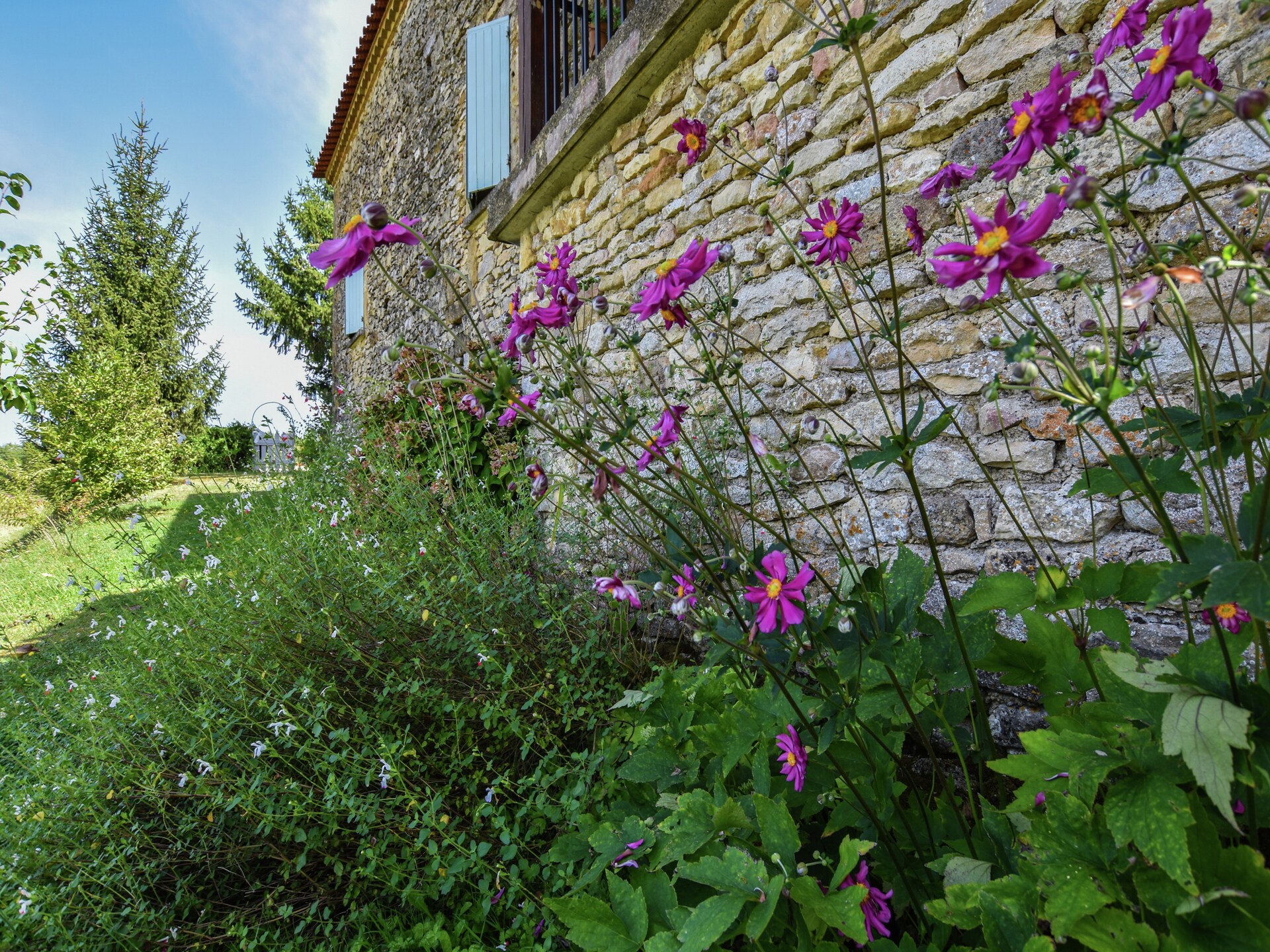 3-persoons vakantiehuis met privézwembad in Loubéjac - foto 16