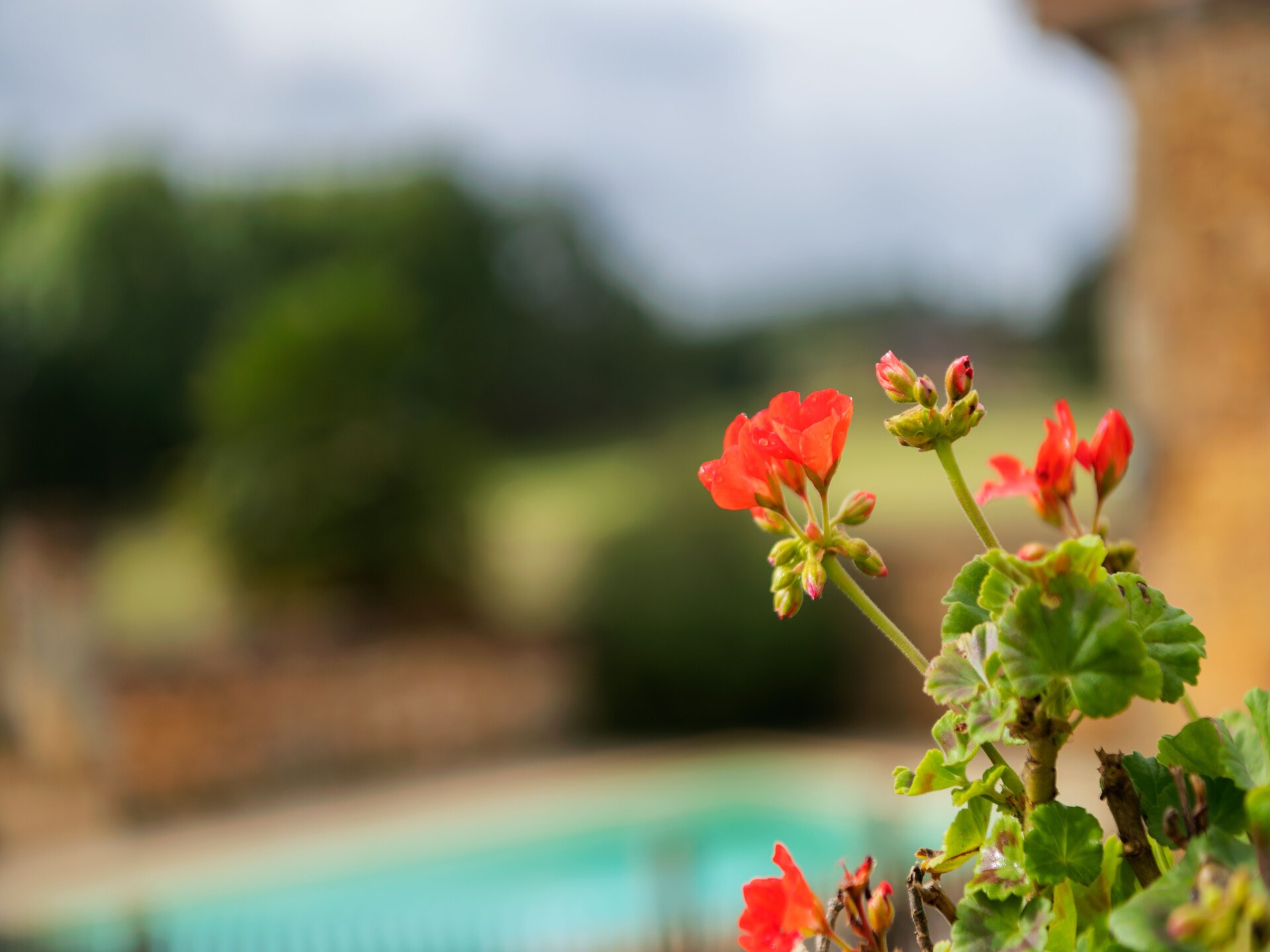 Privézwembad en rust in Loubejac: Vakantiehuis Maison fabuleuse - foto 31