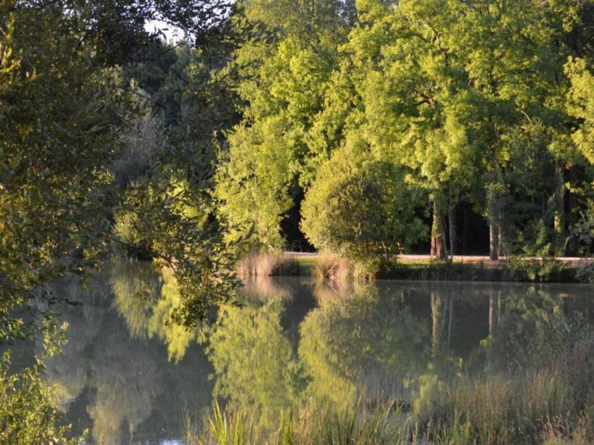 Privézwembad en rust in Loubejac: Vakantiehuis Maison fabuleuse - foto 37