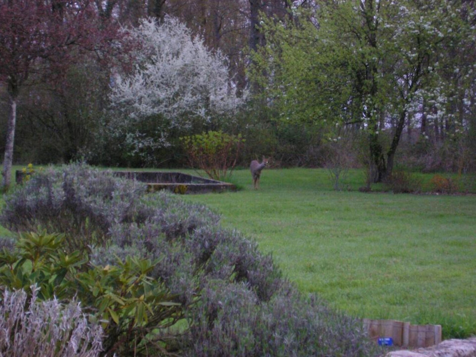Vrijstaand vakantiehuis nabij het bos van Orléans met privétuin - foto 39