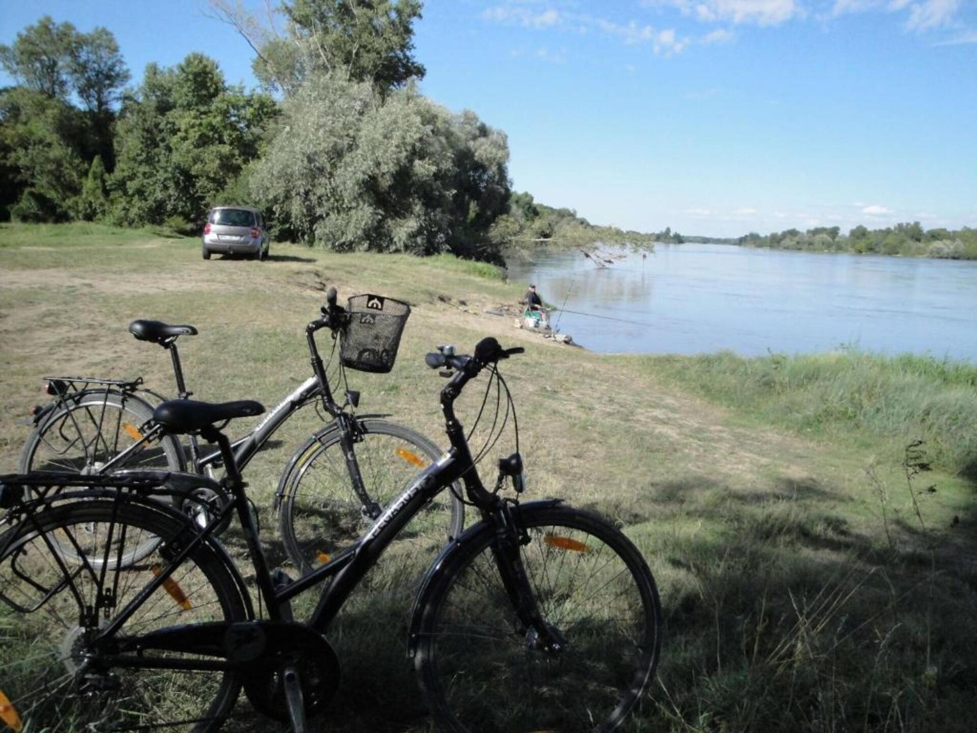 Vrijstaand vakantiehuis nabij het bos van Orléans met privétuin - foto 34