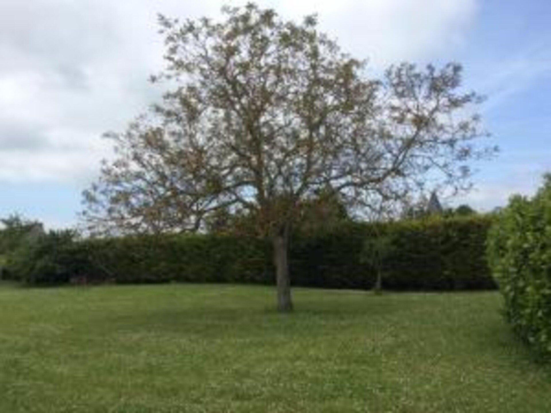 Vrijstaand vakantiehuis nabij het bos van Orléans met privétuin - foto 38