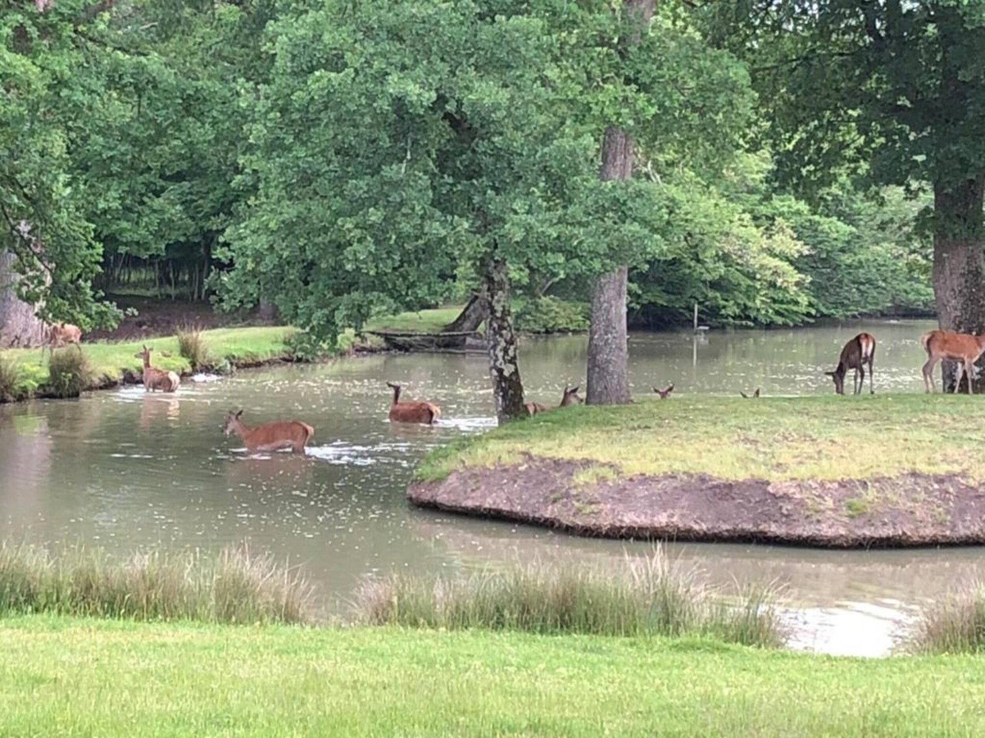 Vrijstaand vakantiehuis nabij het bos van Orléans met privétuin - foto 27
