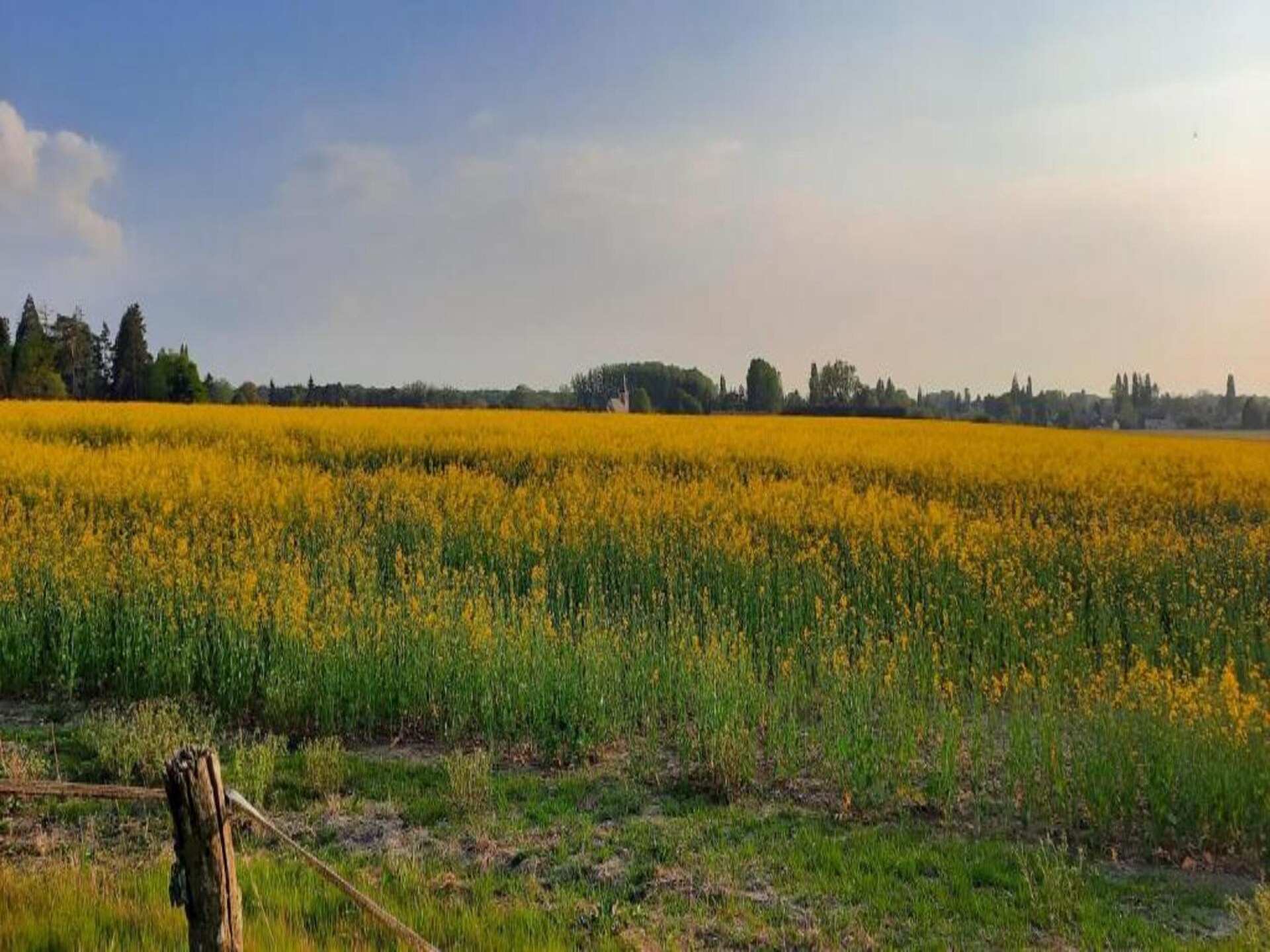 Vrijstaand vakantiehuis nabij het bos van Orléans met privétuin - foto 28