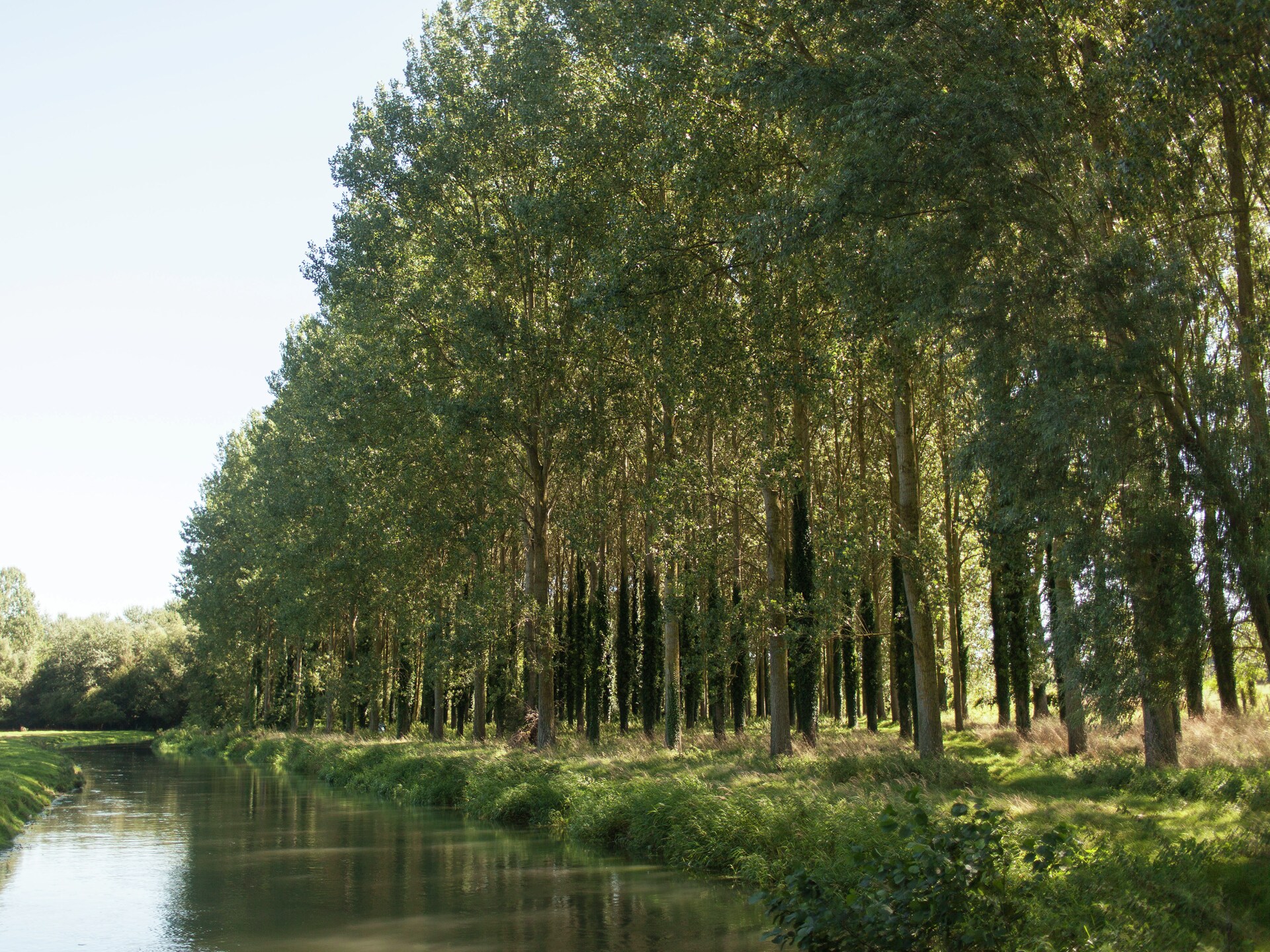 Vrijstaand vakantiehuis aan de rivier met enorme tuin in Le Ponchel - foto 24