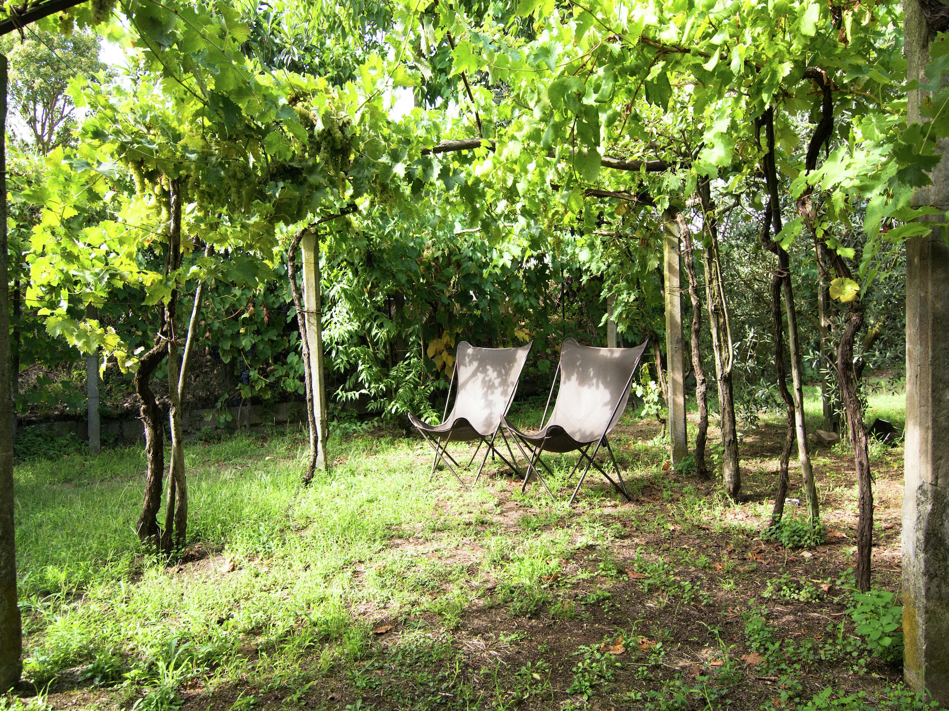 4-persoons vakantiehuis Feritoie met privézwembad in Cortona - foto 39