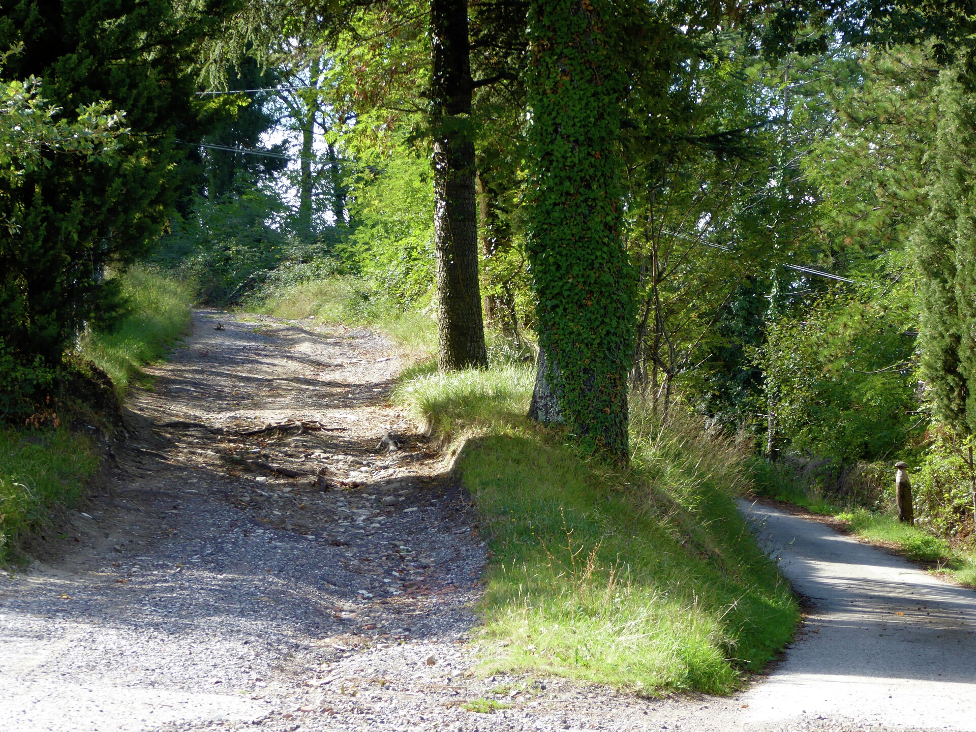 Op 600 m van het centrum: Rustiek vakantiehuis Salice Sei in Montecarelli - foto 20