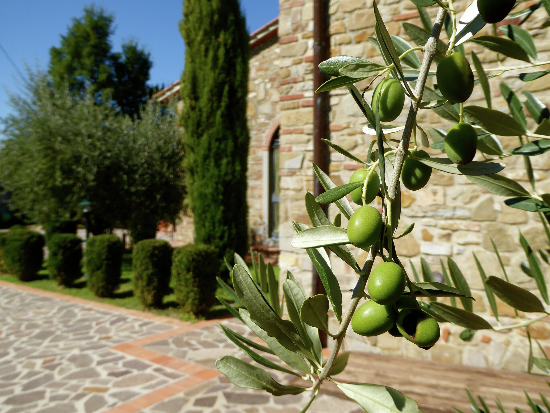 6-persoons vakantiehuis Leccio Due in Montecarelli - foto 33