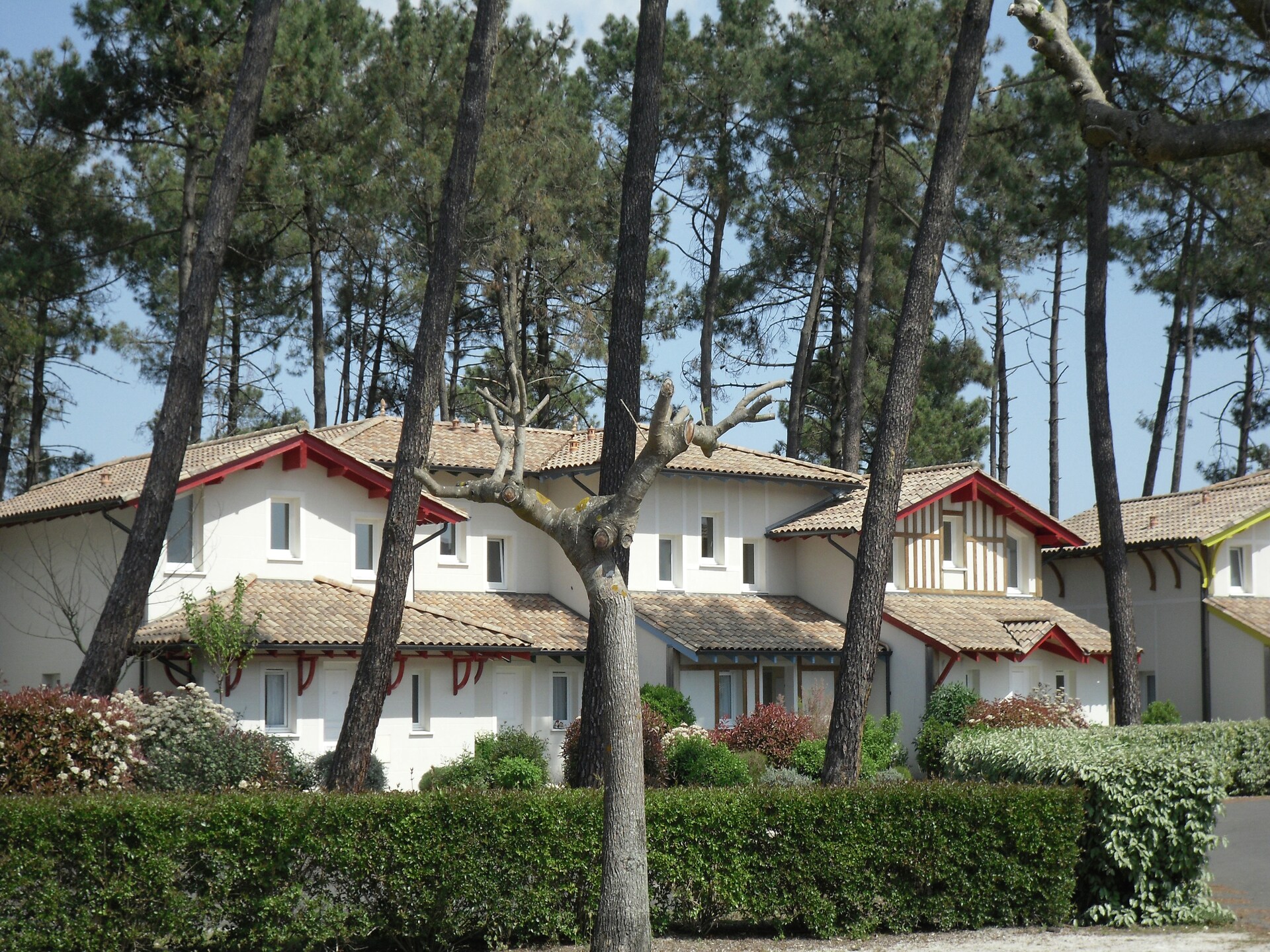 Licht vakantiehuis aan golfbaan Gujan-Mestras, vlakbij zee en Dune du Pilat - foto 9