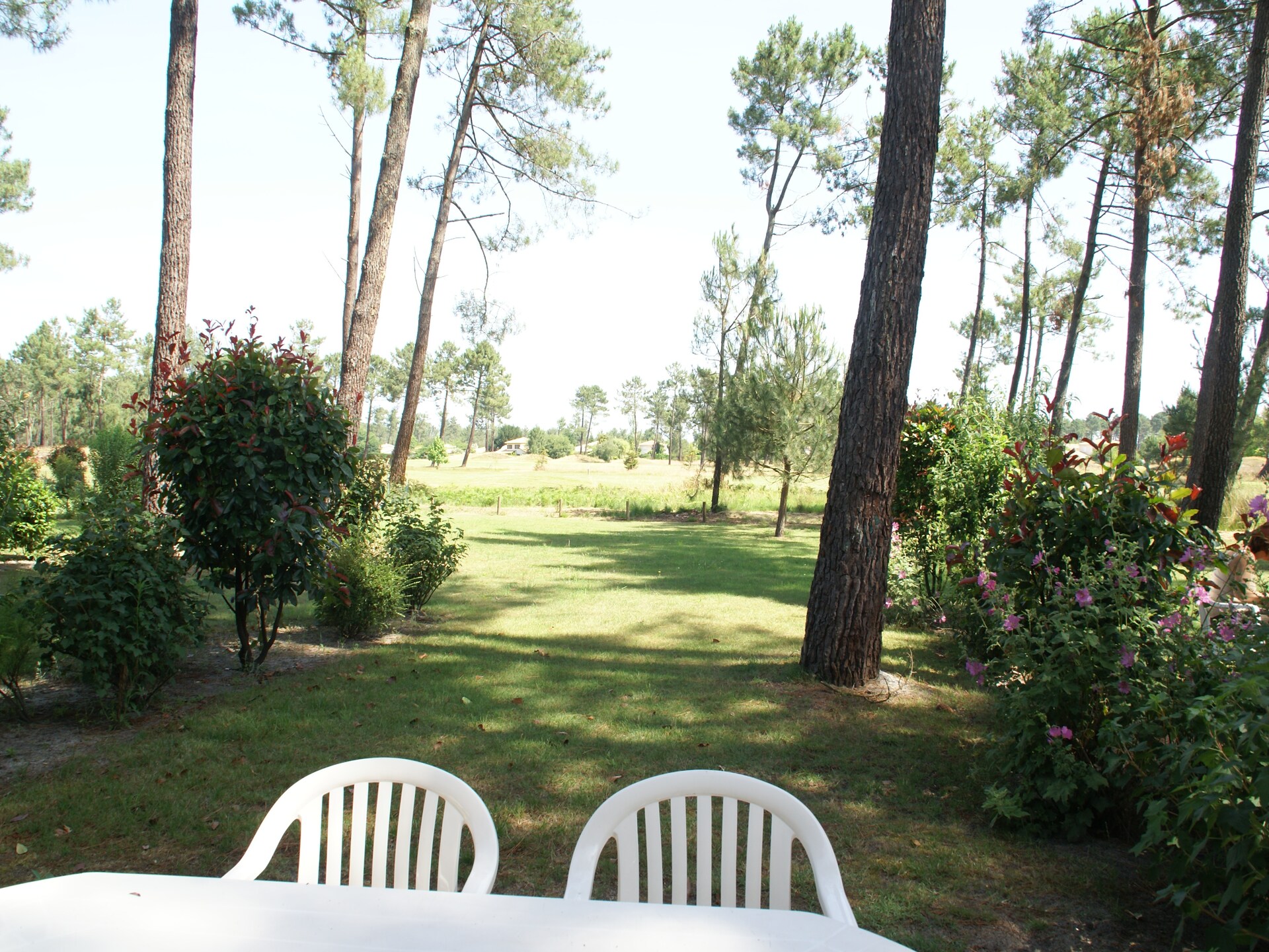 Licht vakantiehuis aan golfbaan Gujan-Mestras, vlakbij zee en Dune du Pilat - foto 33