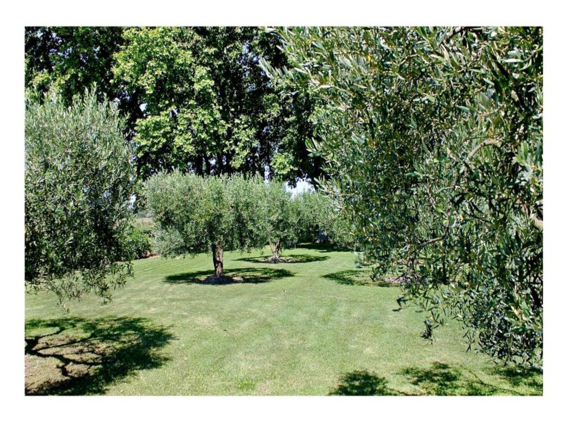 Casa Lucia Due: Ruim vakantiehuis nabij Idromeer met privétuin voor 6 personen - foto 31