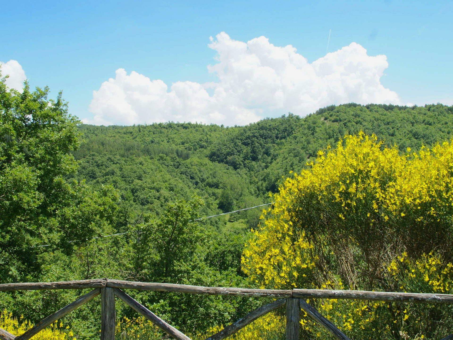 Rustiek vakantiehuis Vaschi Undici Trilo Sei in Città di Castello - foto 21