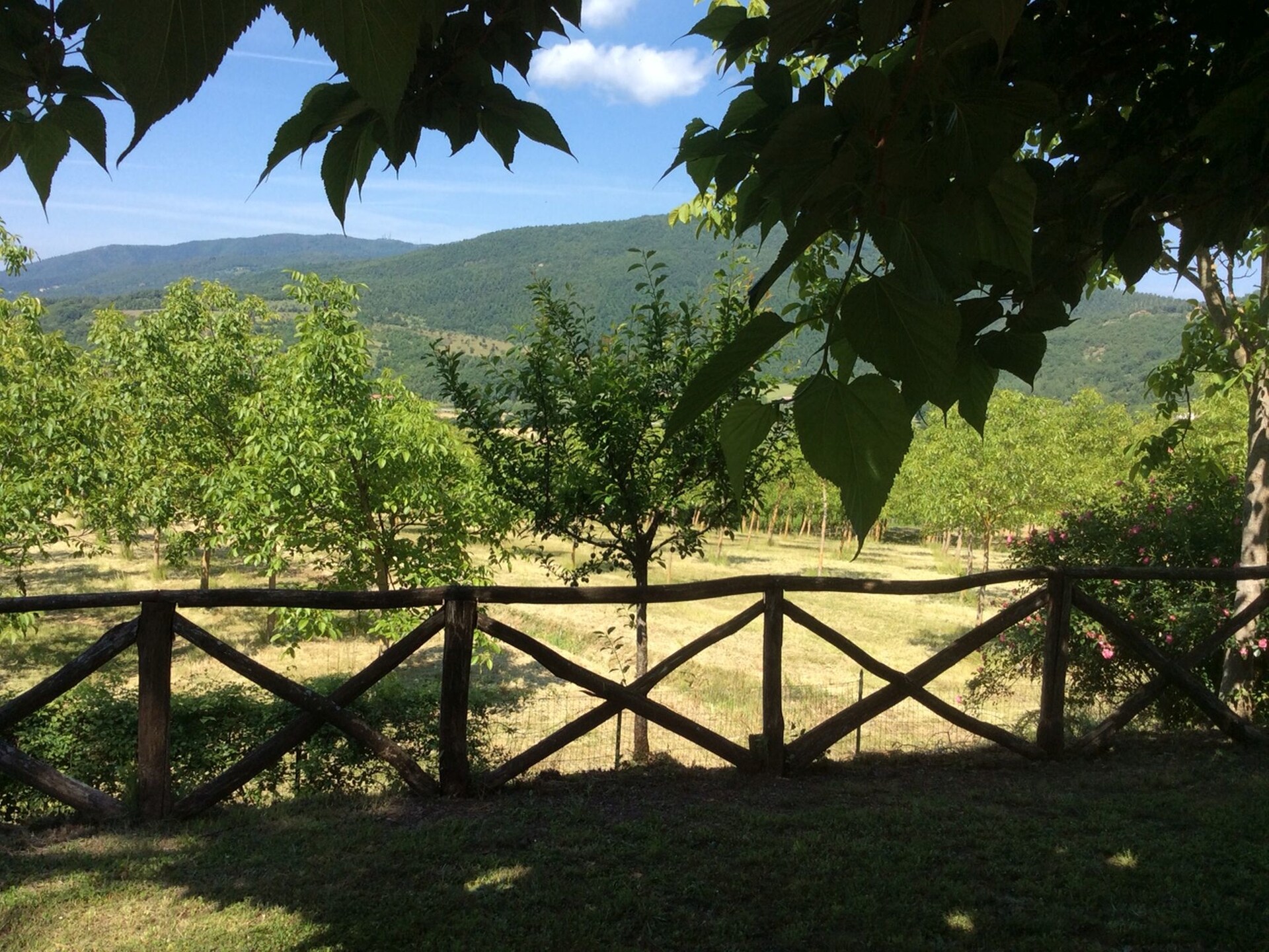Ruim vakantiehuis met privézwembad en golfbaan nabij Arezzo, Toscane - foto 26