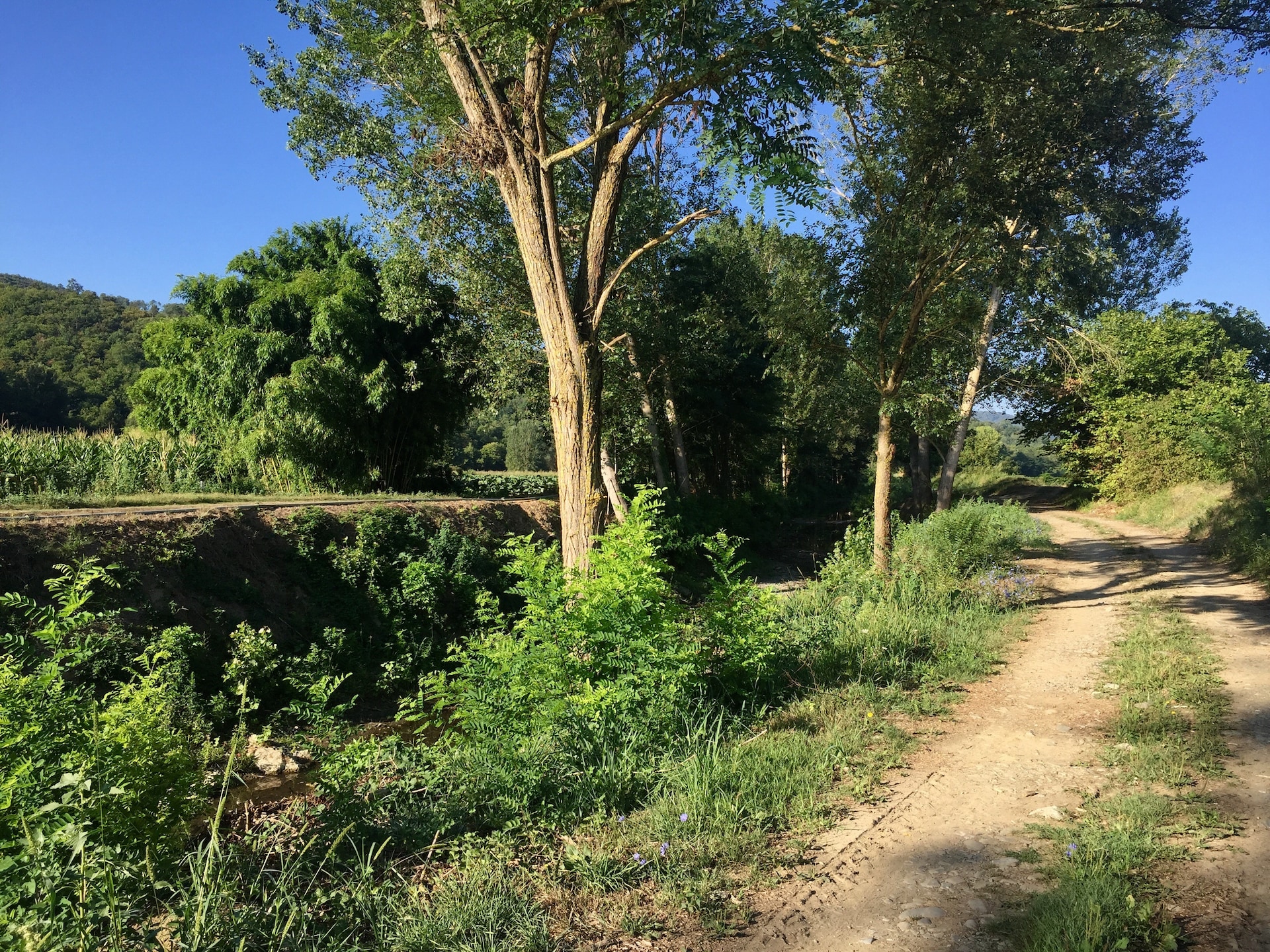 Ruim vakantiehuis met privézwembad en golfbaan nabij Arezzo, Toscane - foto 29