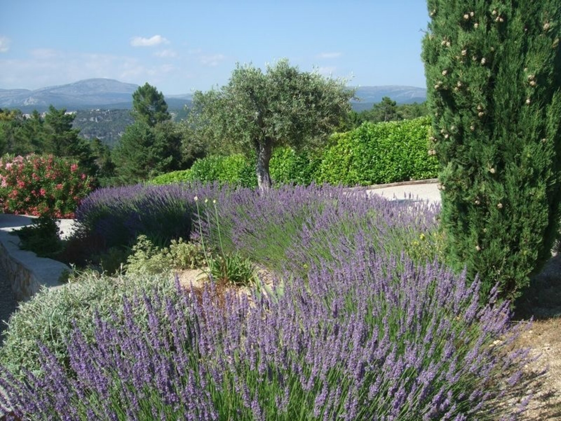 Modern appartement in bosrijke natuur bij Montauroux, vlakbij meer en Côte d'Azur - foto 36