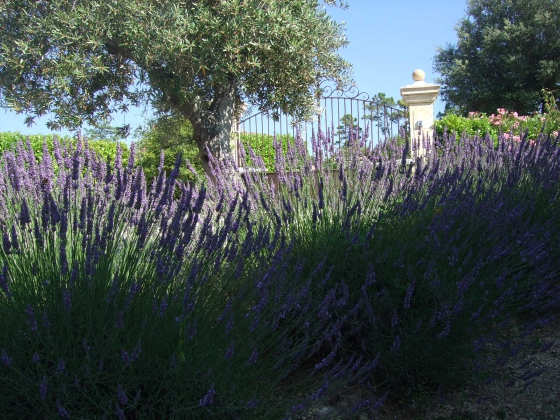 Modern appartement in bosrijke natuur bij Montauroux, vlakbij meer en Côte d'Azur - foto 37