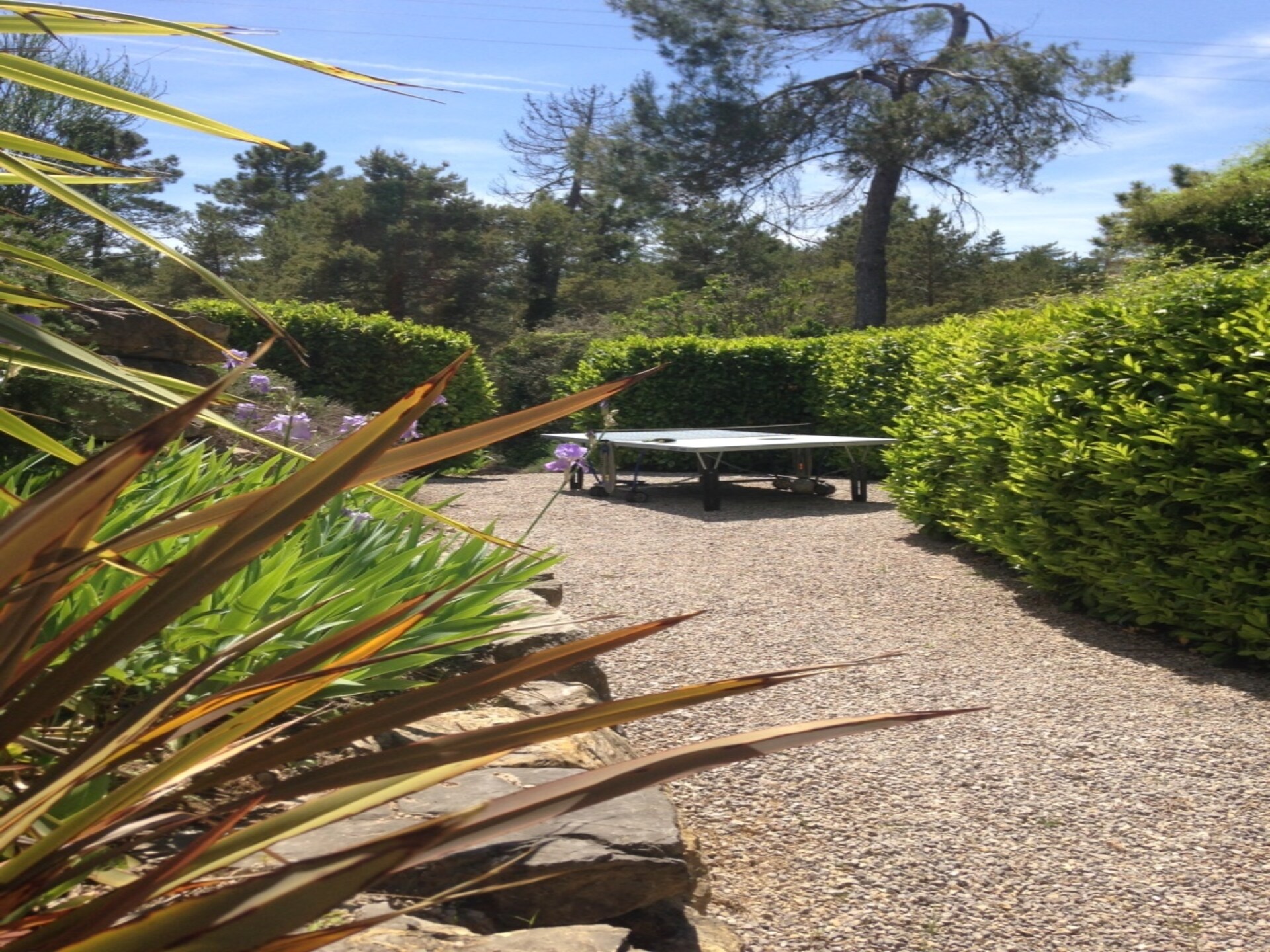 Modern appartement in bosrijke natuur bij Montauroux, vlakbij meer en Côte d'Azur - foto 39