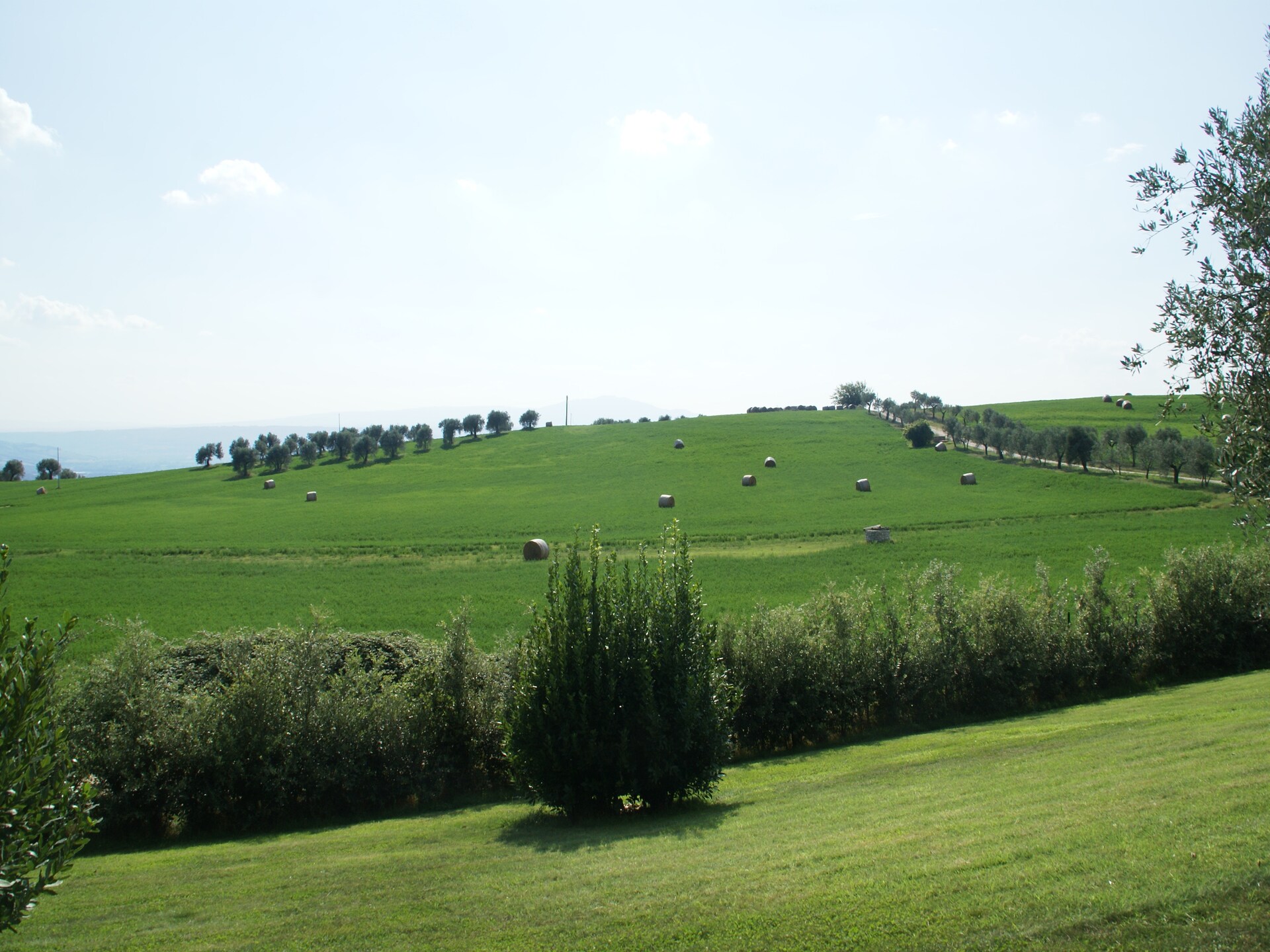 Authentieke boerderij in Montoro met zwembad, tuin en uitzicht op het platteland - foto 39