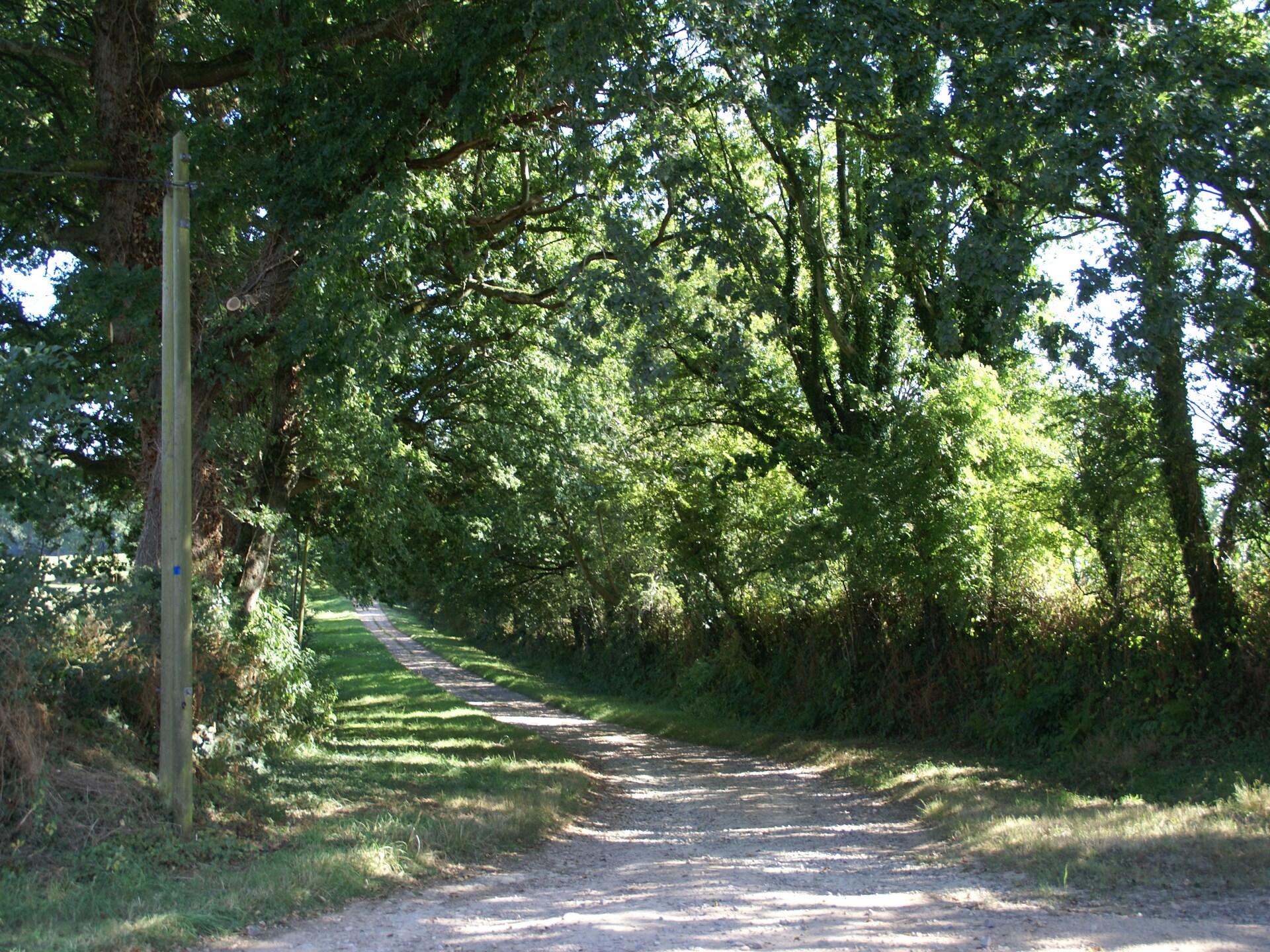 Historisch jachthuis in bosrijk park bij Valognes, vlakbij D-Day stranden - foto 26