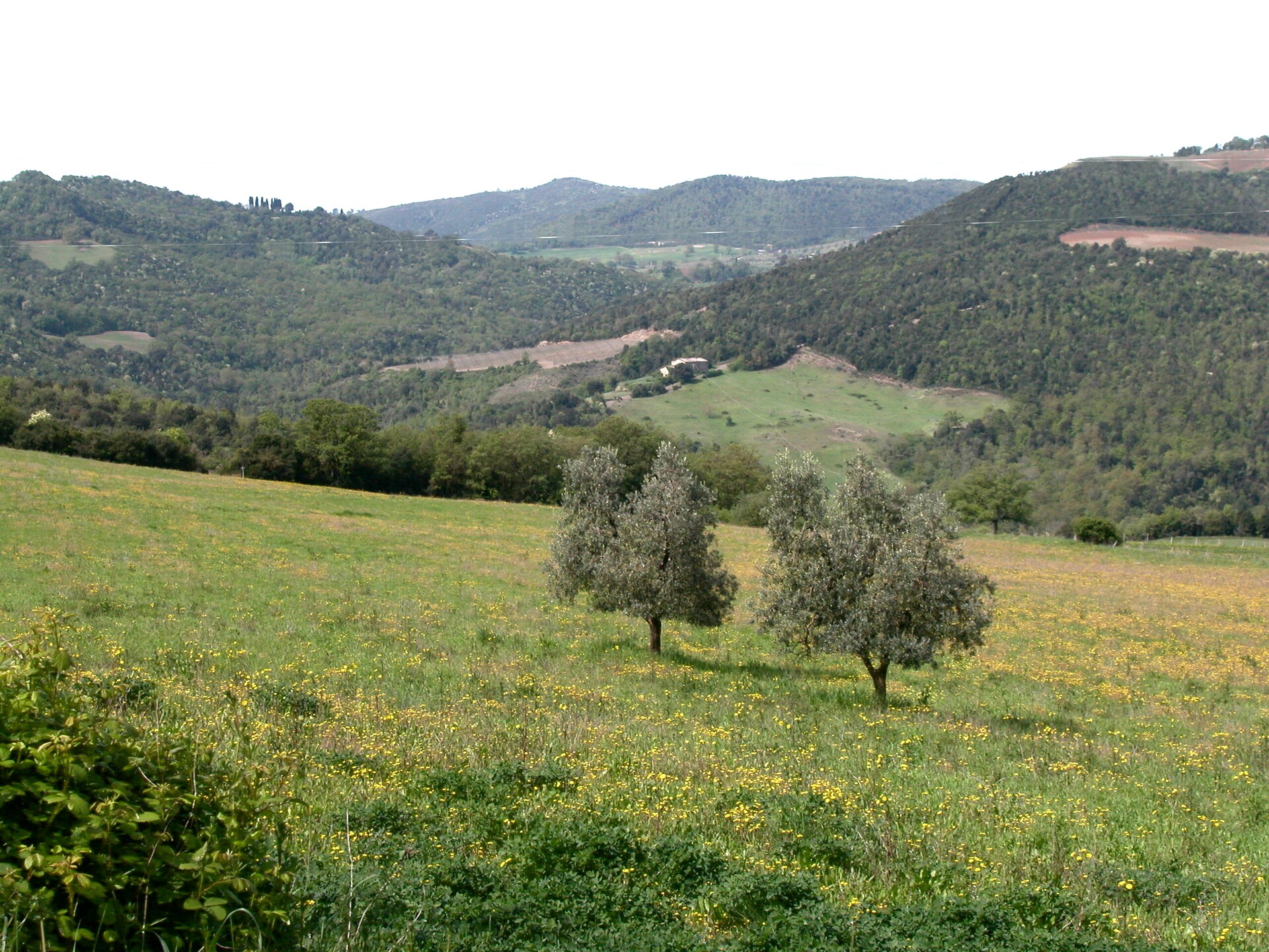 Rustieke boerderij Casa Tiglio in Castiglione D'orcia voor 8 personen - foto 37