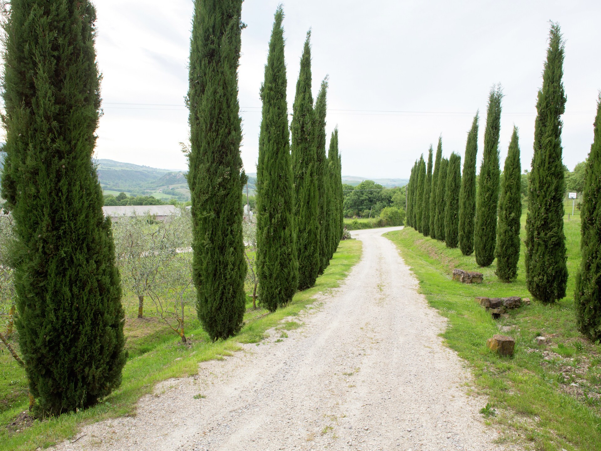 Rustieke boerderij Casa Tiglio in Castiglione D'orcia voor 8 personen - foto 40