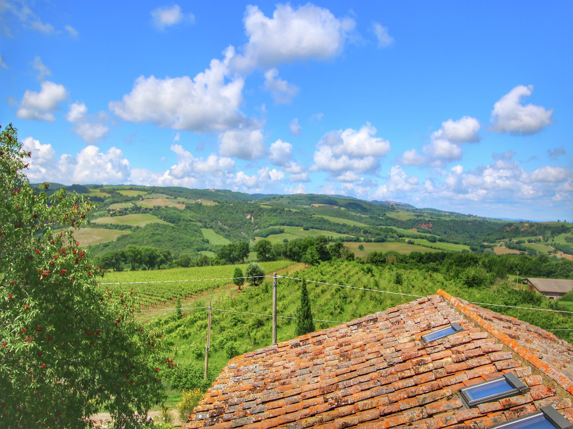 Rustieke boerderij Casa Tiglio in Castiglione D'orcia voor 8 personen - foto 36
