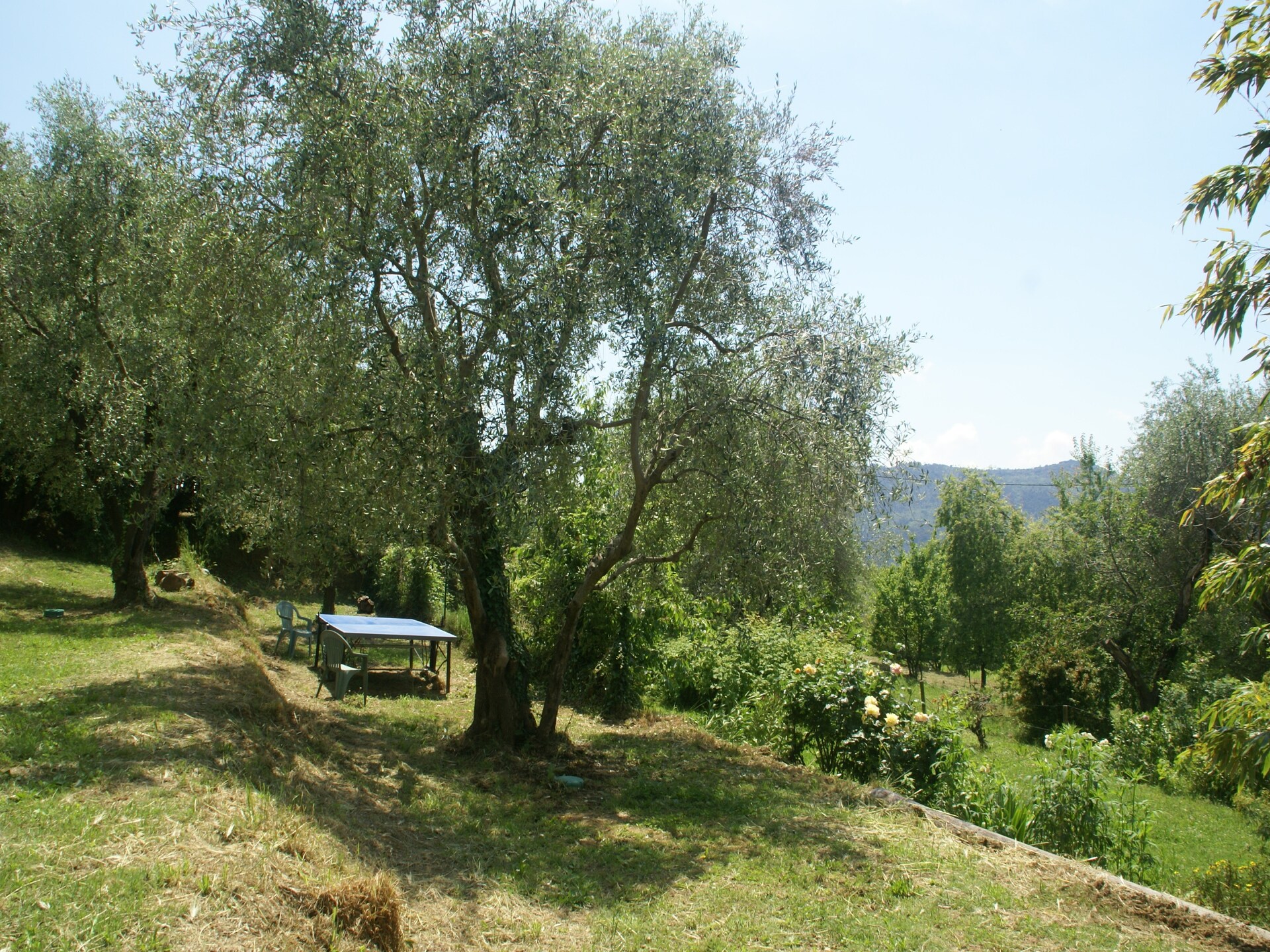 Rustiek vakantiehuis in Berre-les-Alpes met omheinde tuin, vlakbij Franse Rivièra - foto 24