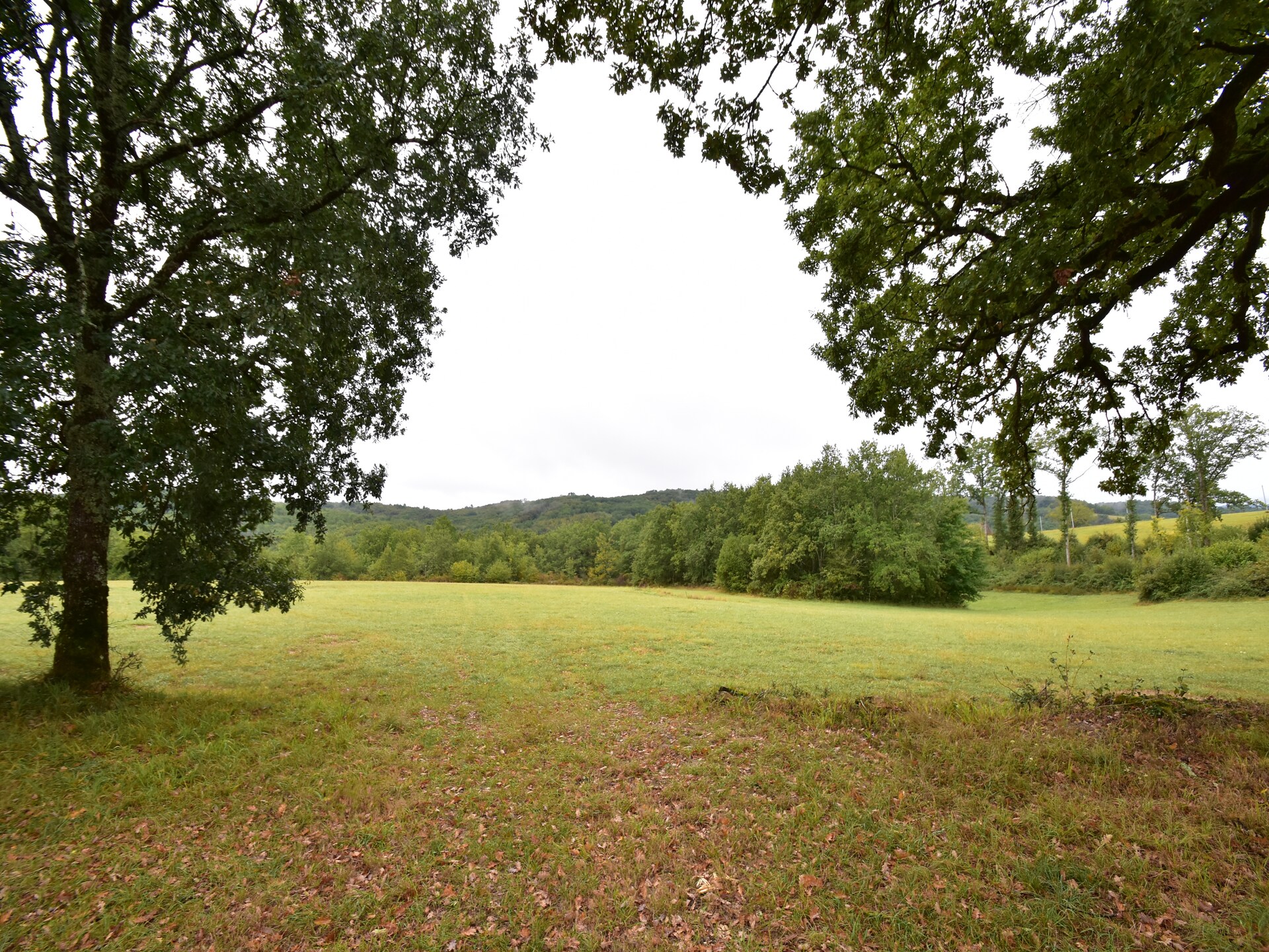 Knus vrijstaand huisje voor 2 in het bos van Berbiguières, Dordogne - foto 14
