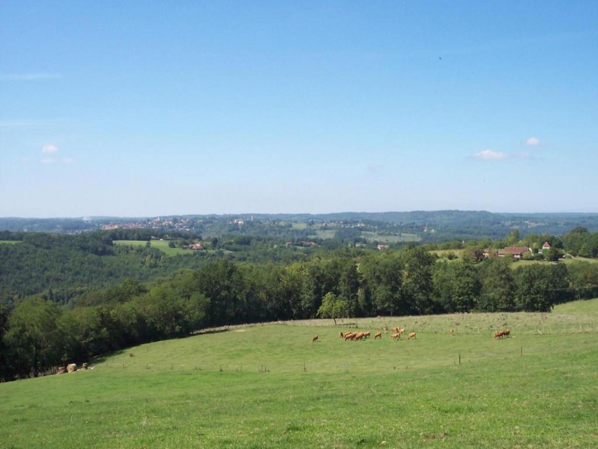 Knus vrijstaand huisje voor 2 in het bos van Berbiguières, Dordogne - foto 33